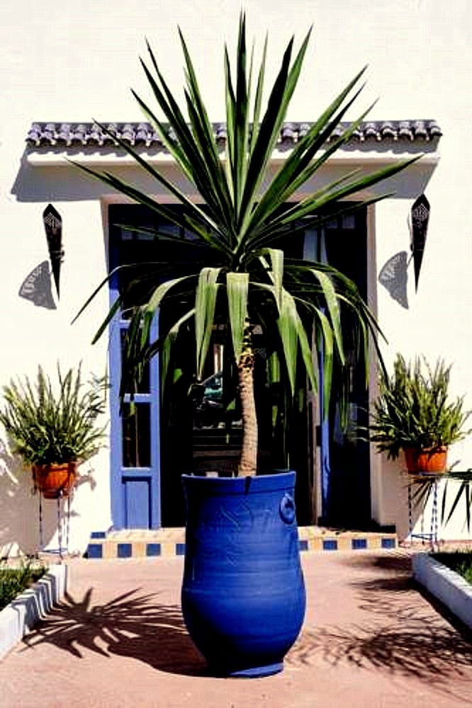 Фото Dar Omar Khayam