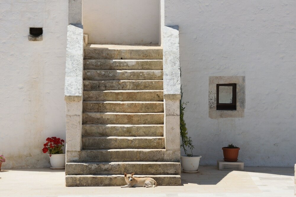 Фото Masseria Calandrella
