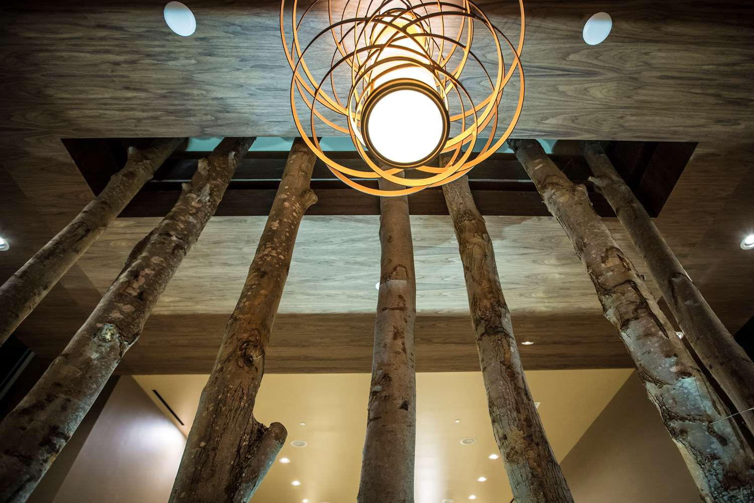 Фото Homewood Suites by Hilton Charlotte Ballantyne, Nc