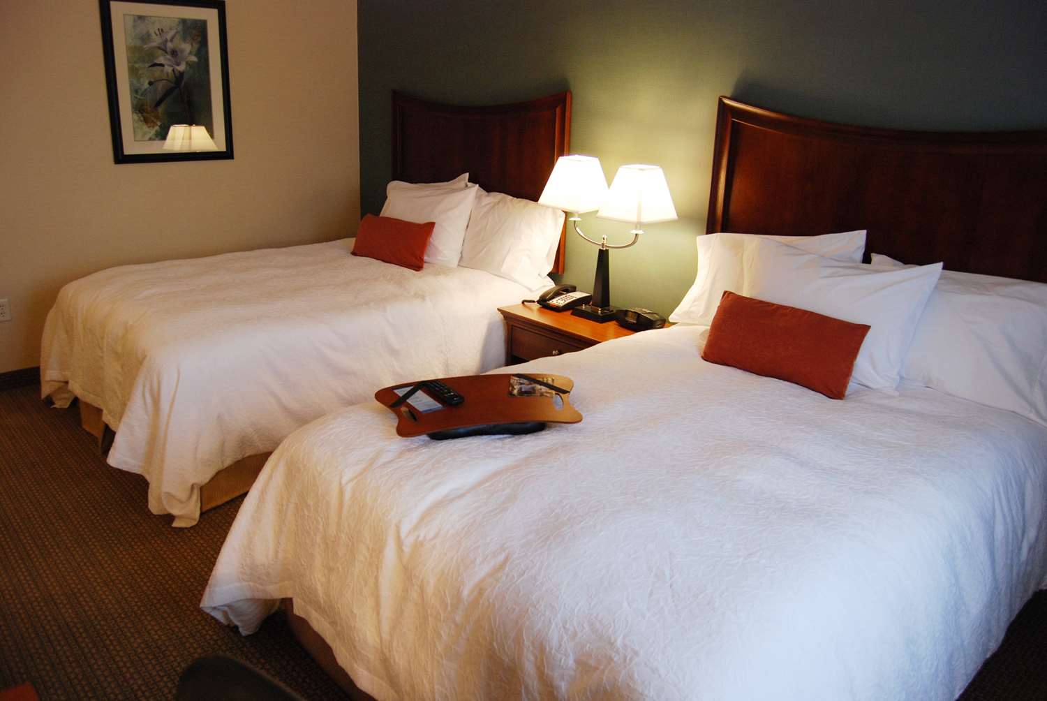 Фото Hampton Inn & Suites Folsom