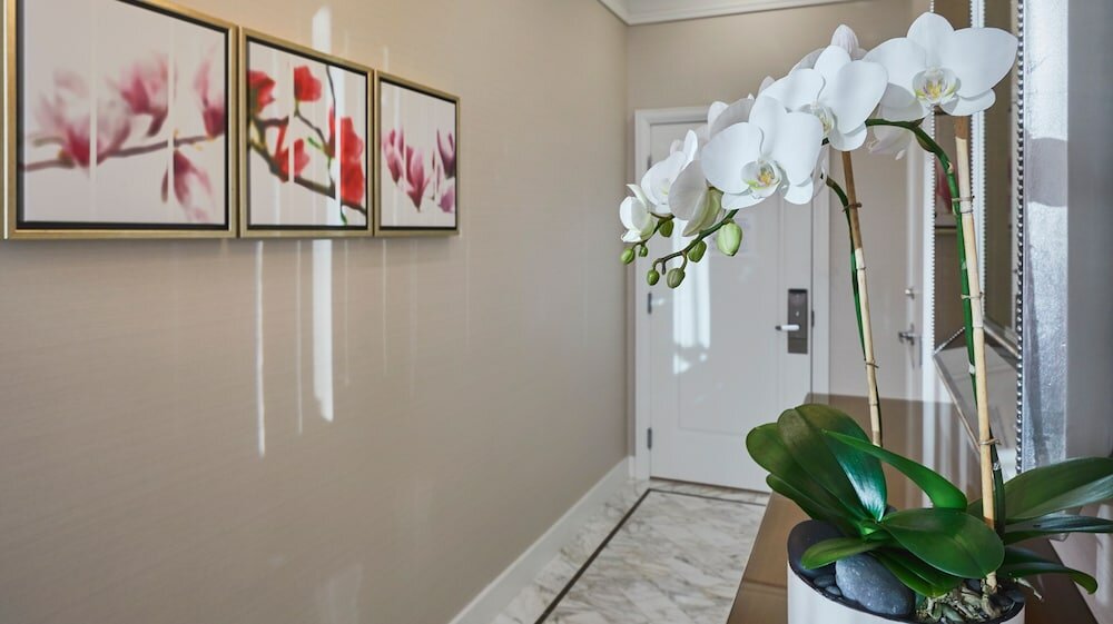 Фото Hotel Aka Back Bay