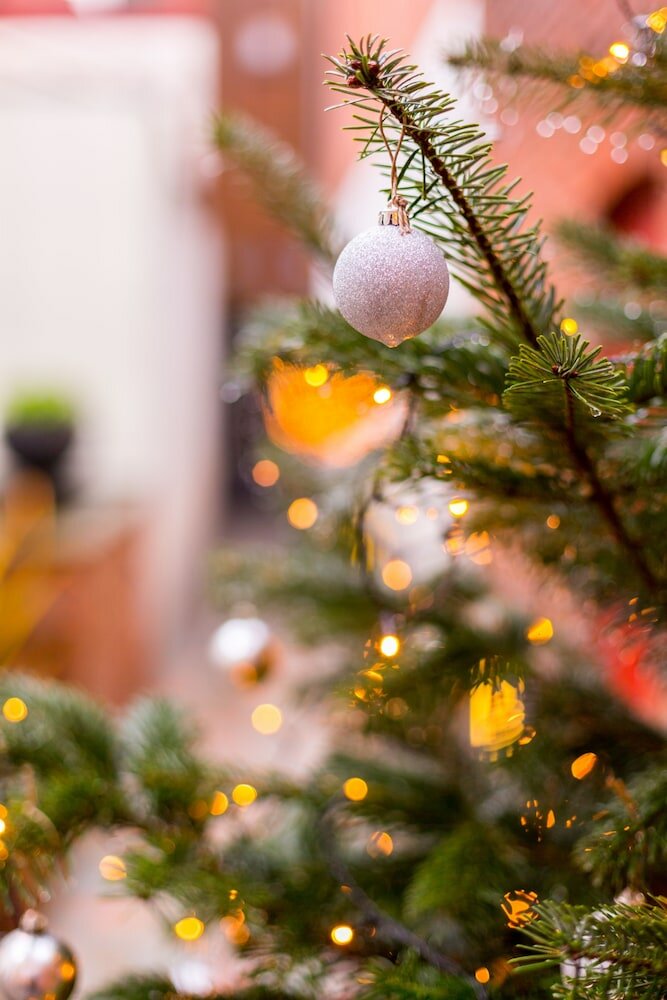 Фото Asinello B&b