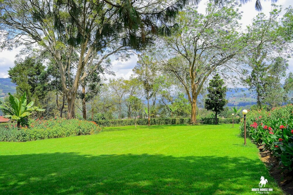 Фото White Horse Inn