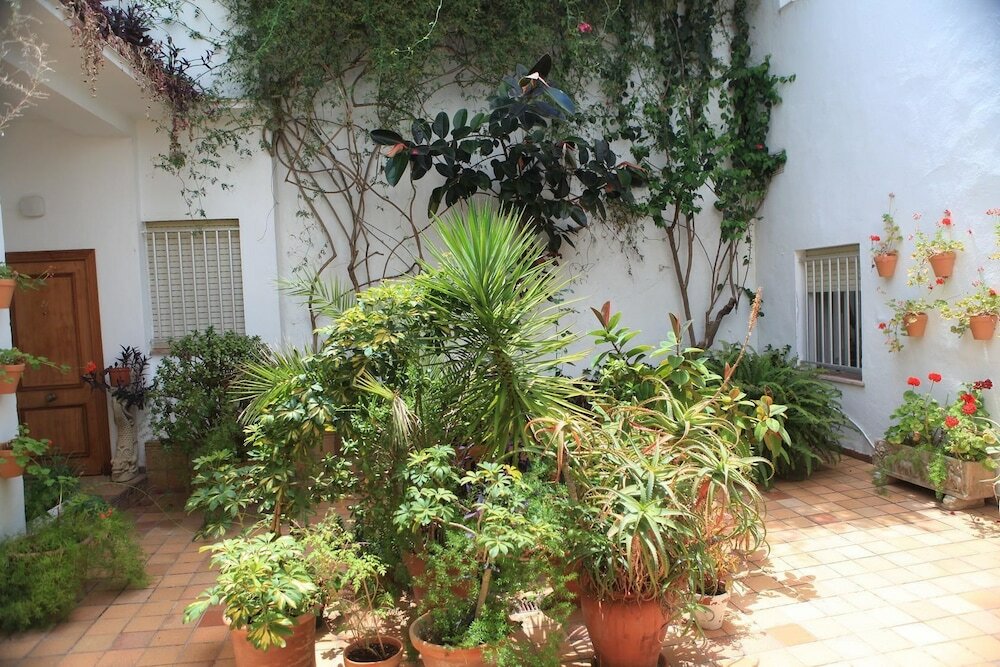 Фото Hotel El Coloso