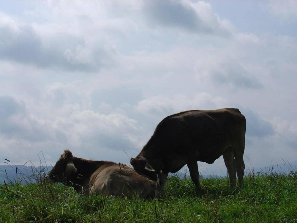 Фото Landhotel Herzberger