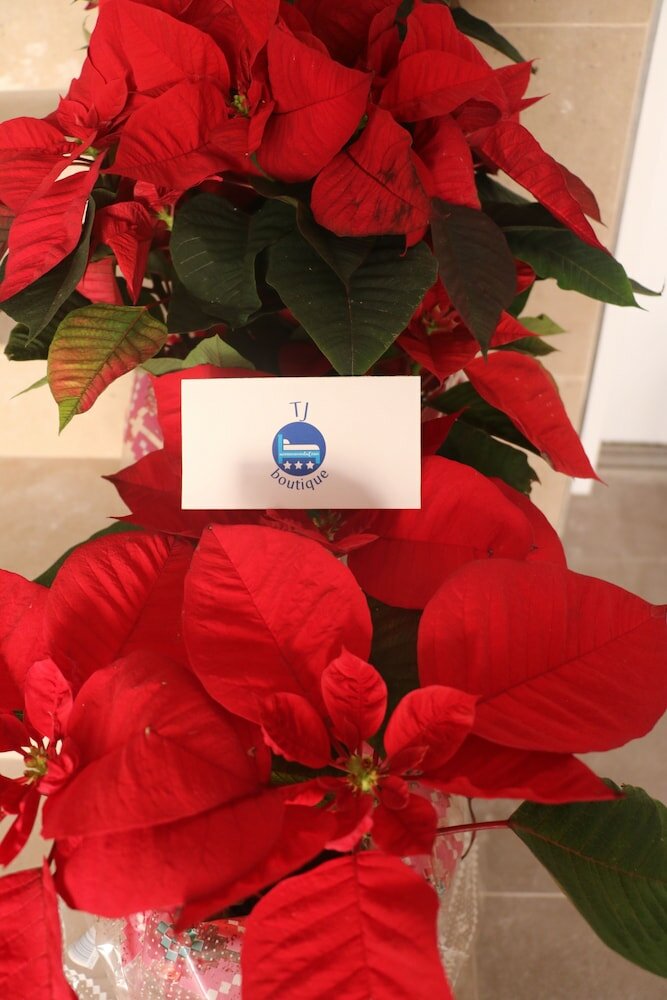 Фото TJ Boutique Accommodation