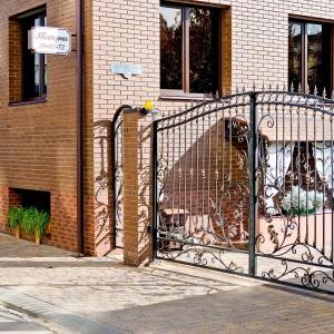 Фото Полина