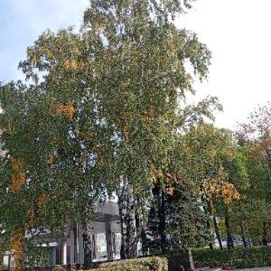 Фото Новокузнецкая