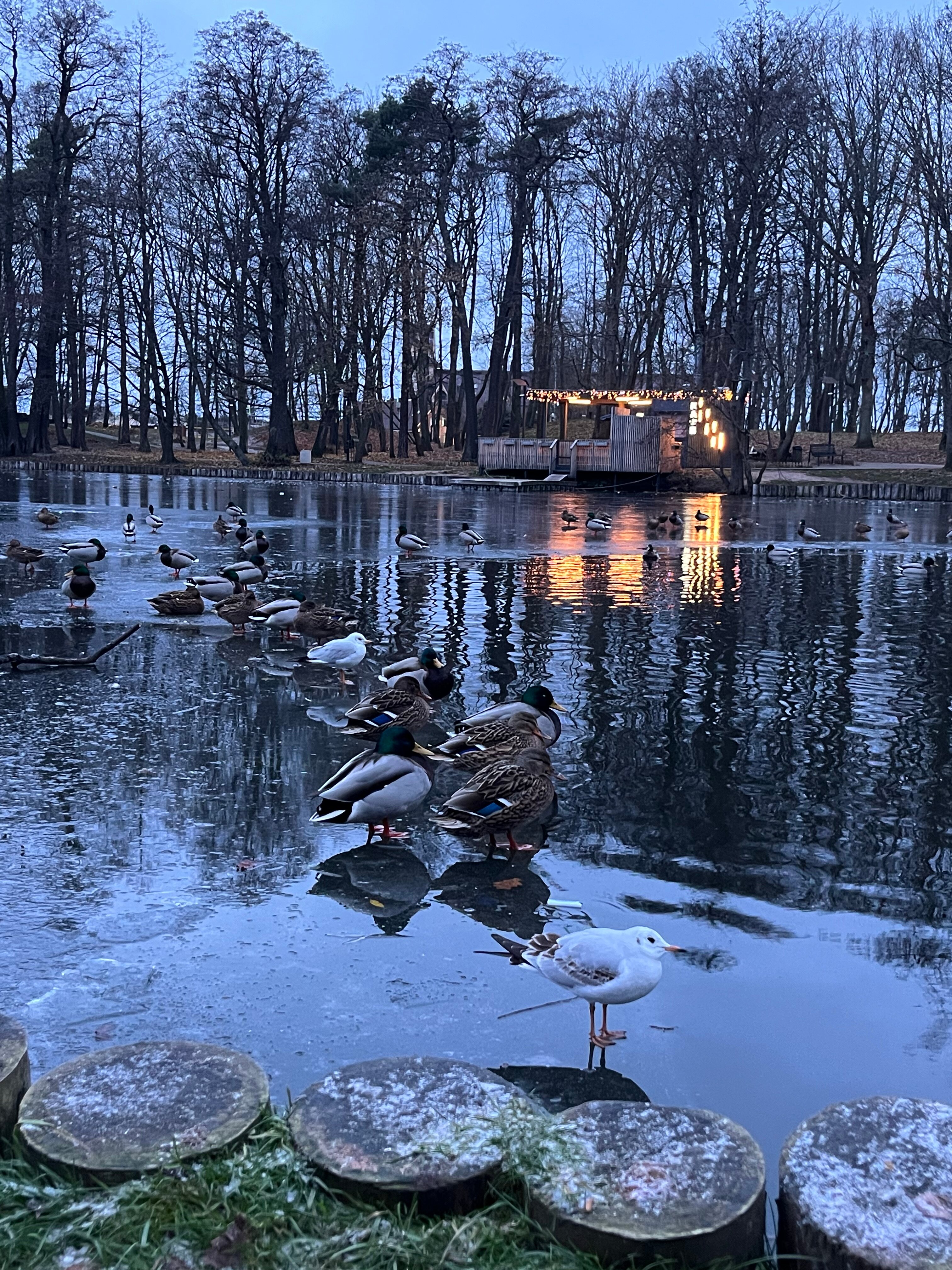 Фото Воскресенье