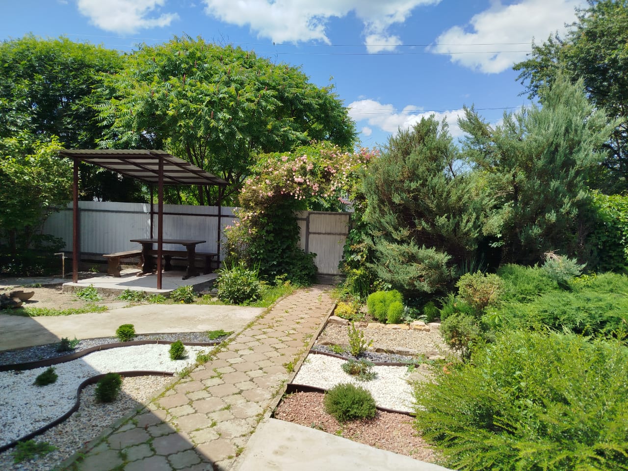 Фото Хвойный дворик