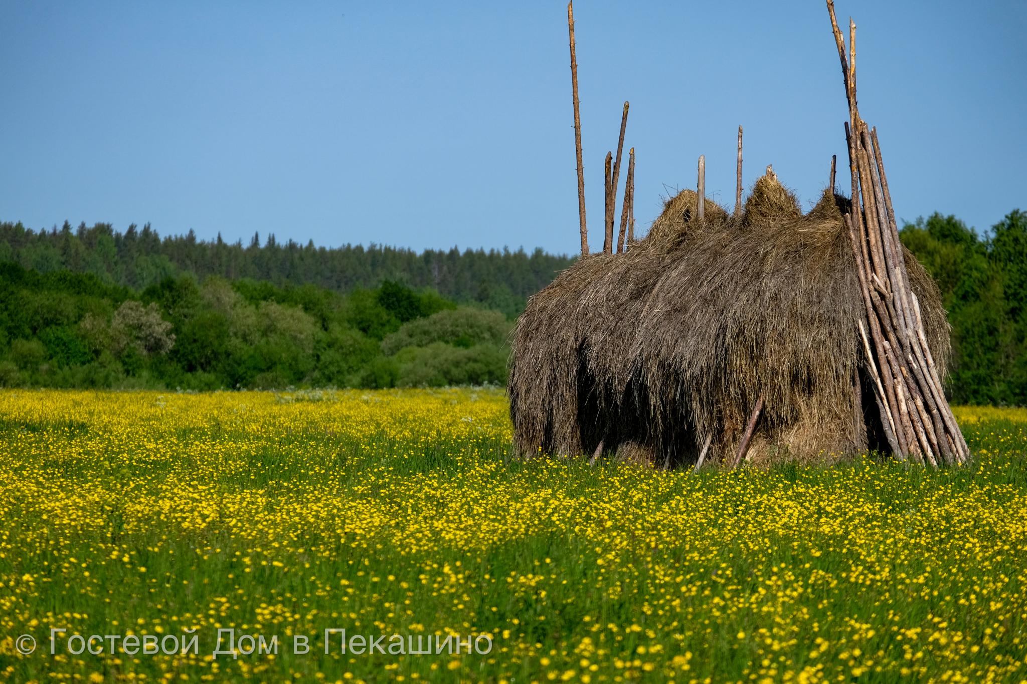 Фото Гостевой Дом в Пекашино