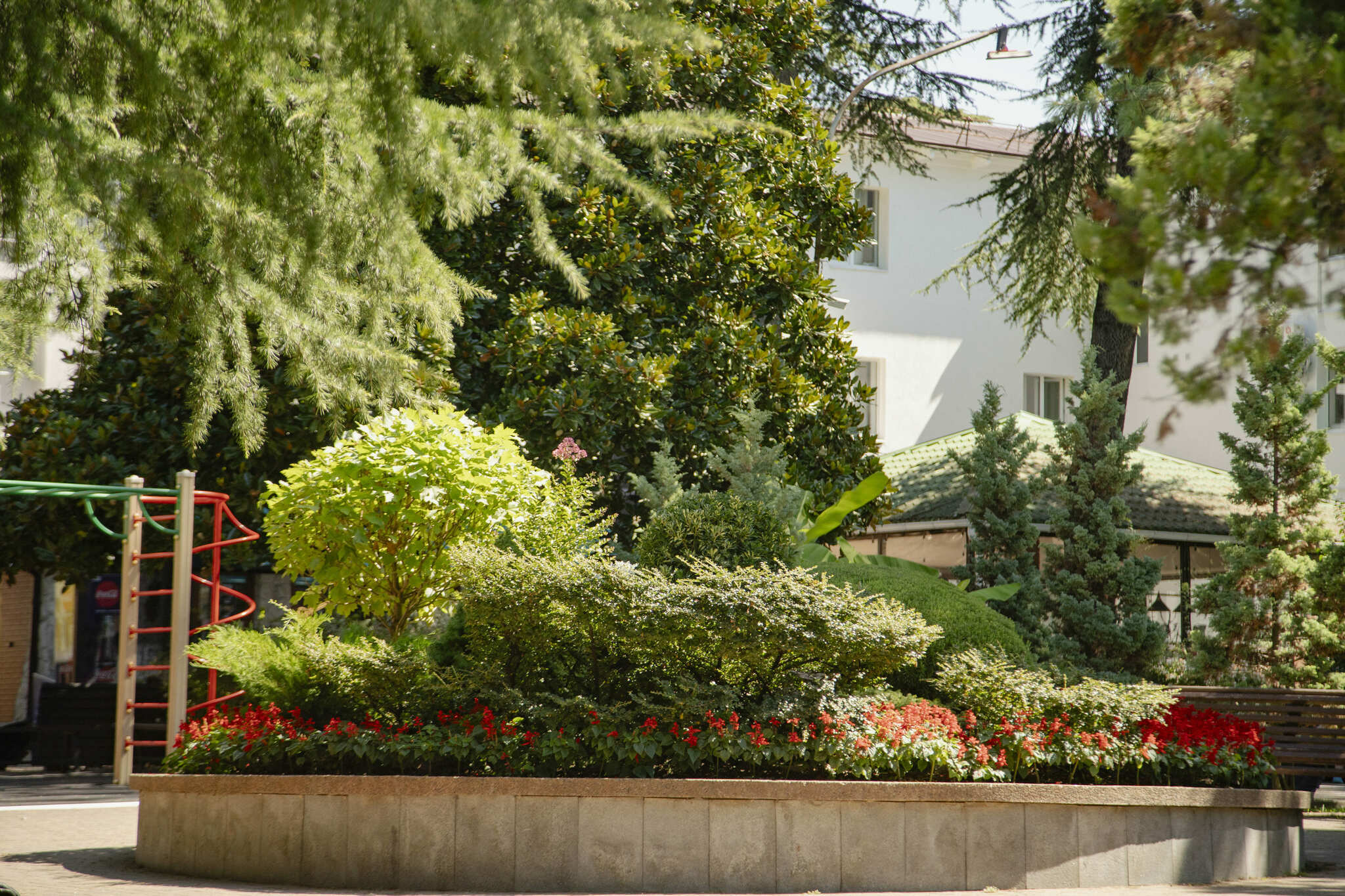 Фото Бирюза