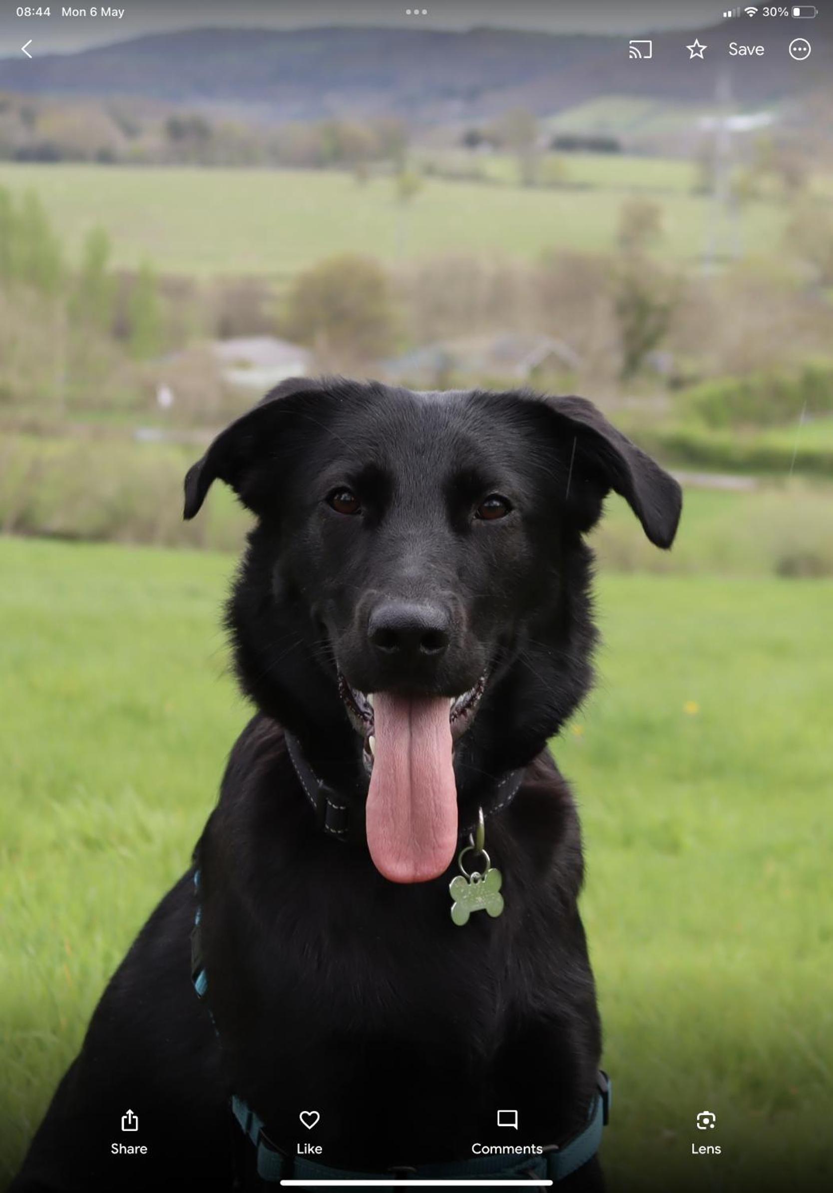 Фото Little Lodge