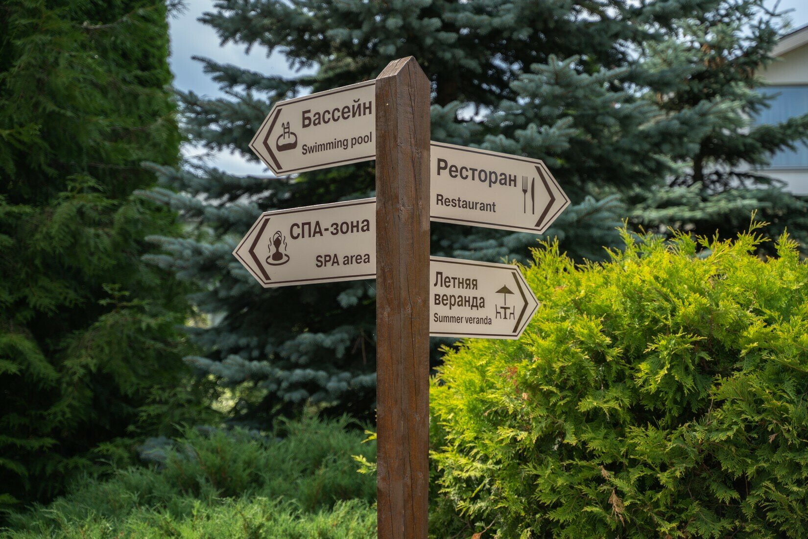 Фото Аристократ