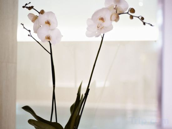 Фото Sans Souci Wien