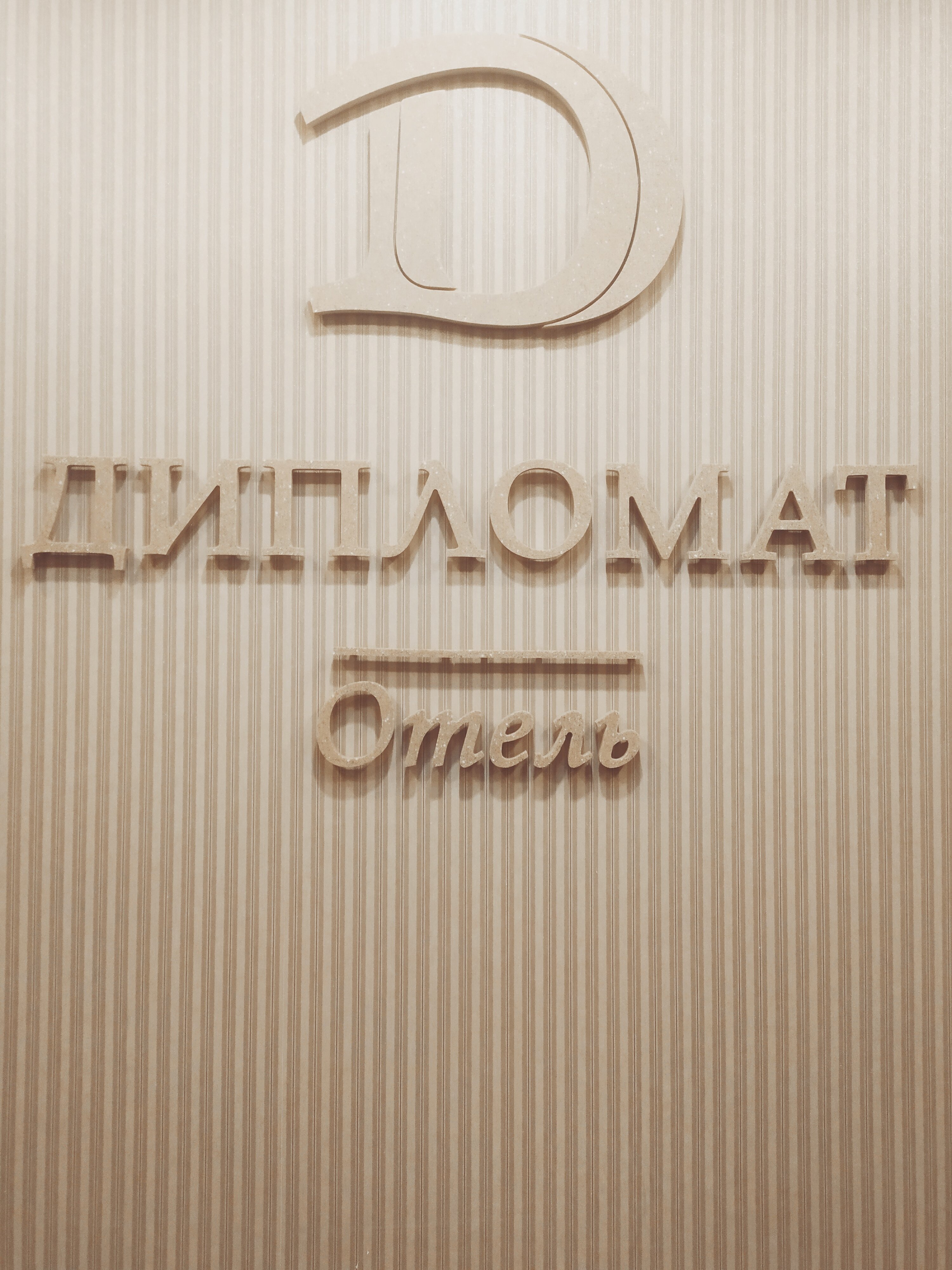 Фото Дипломат