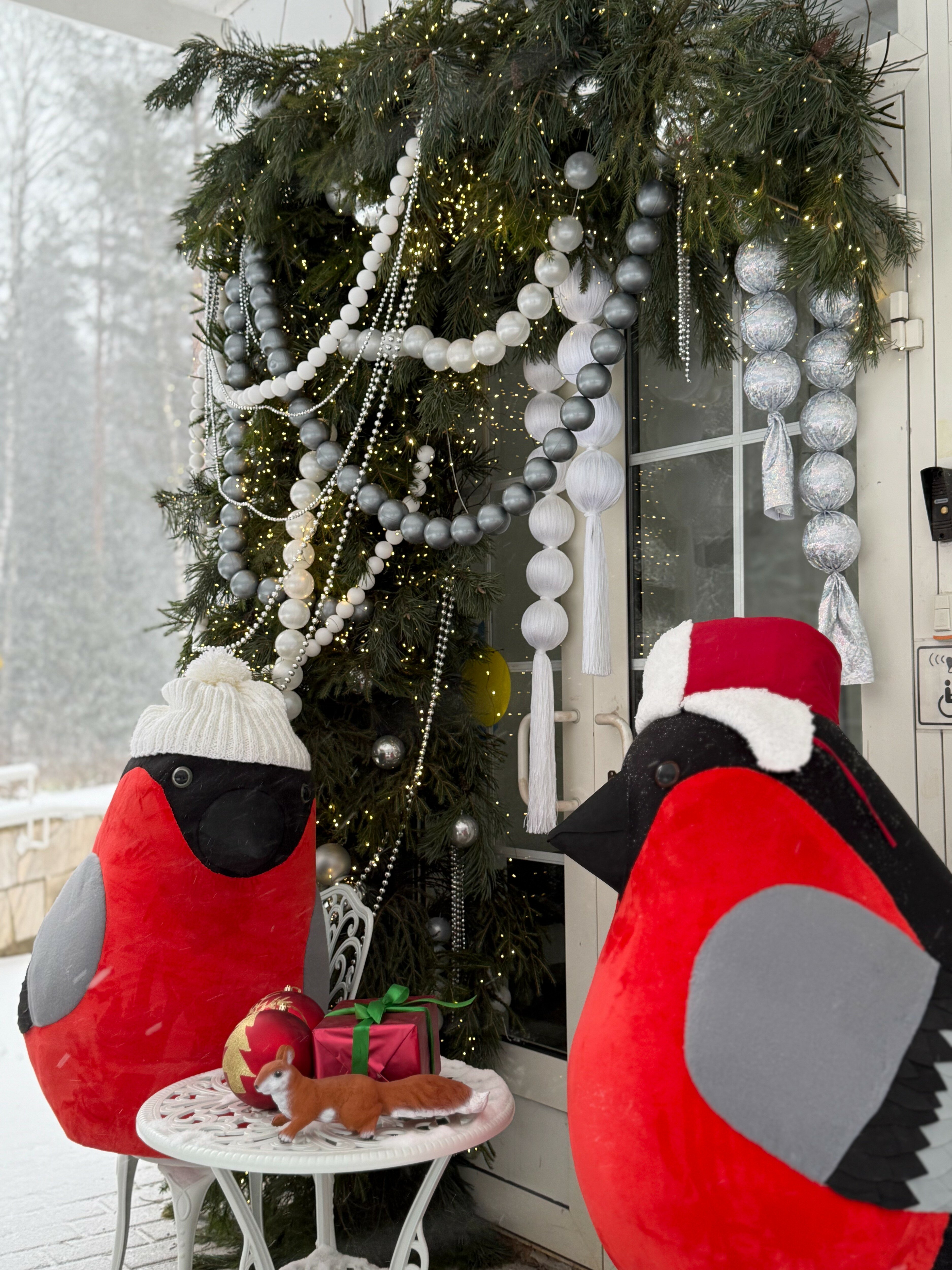 Фото Ясные зори