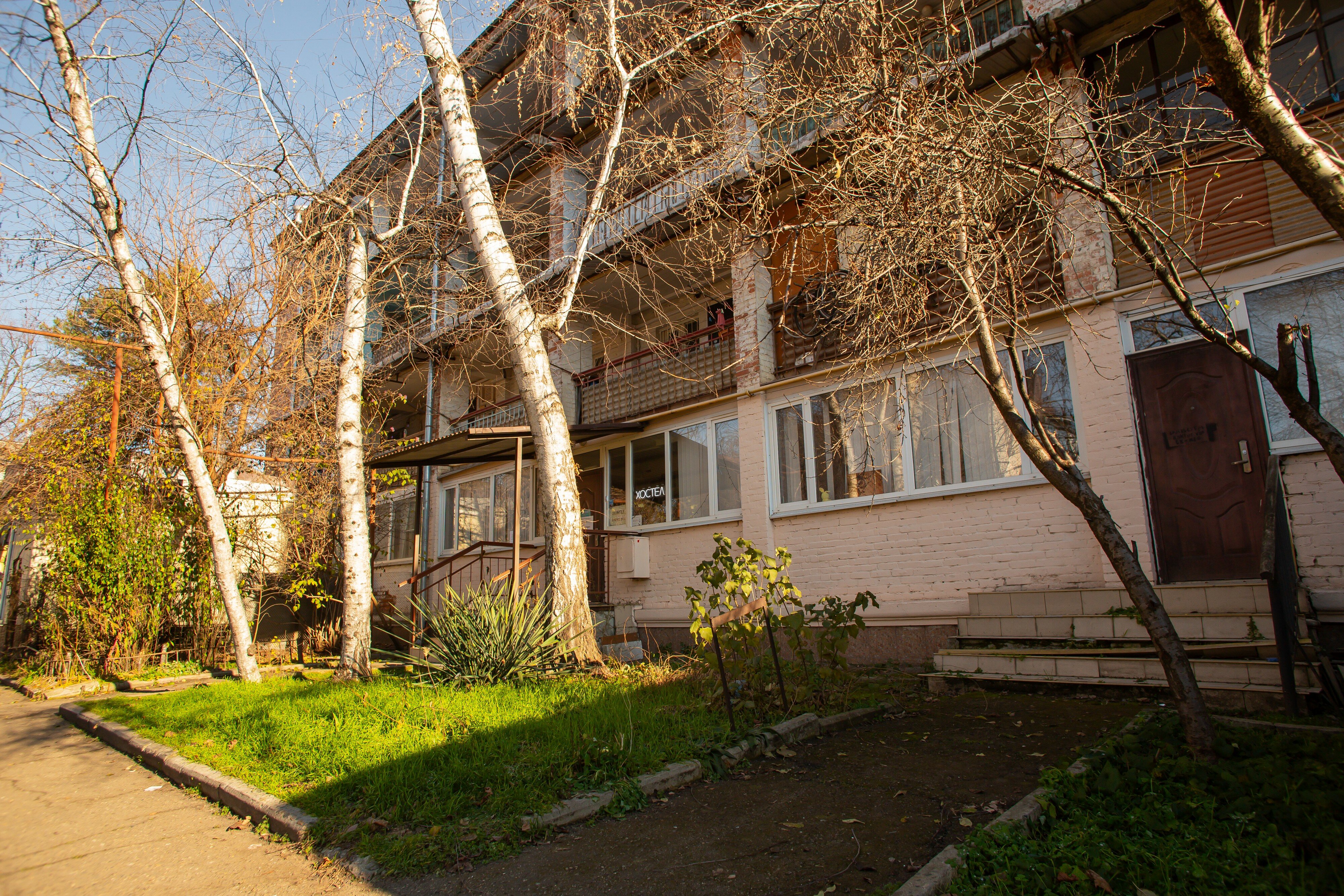 Фото Клевер