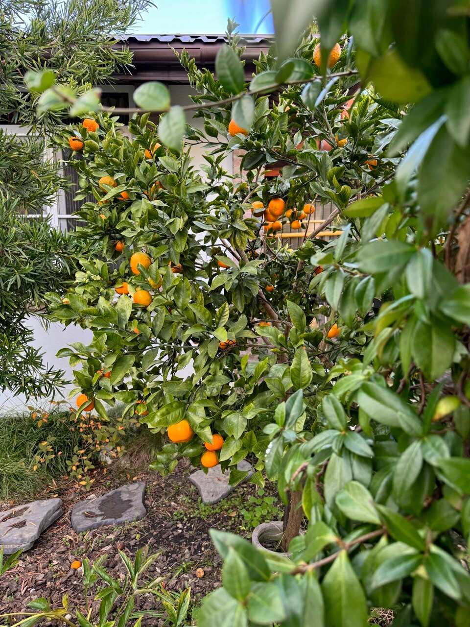 Фото Ла Вилла