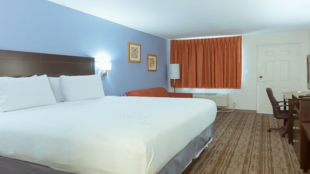 Фото Hotel South Tampa & Suites