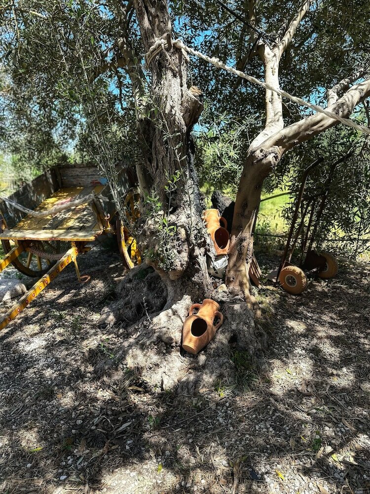 Фото Ciriga Sicily Glamping