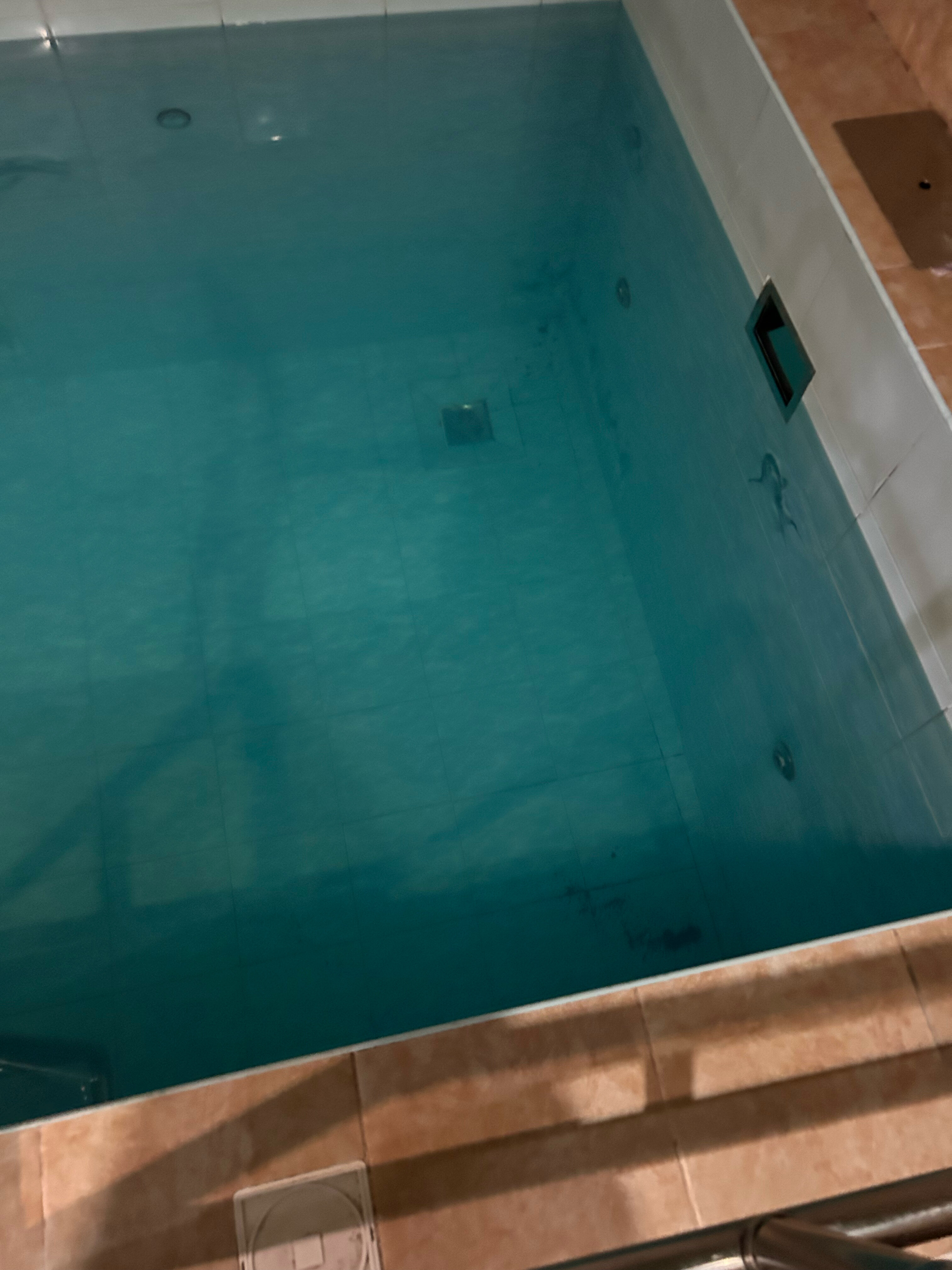 Фото Пальмы