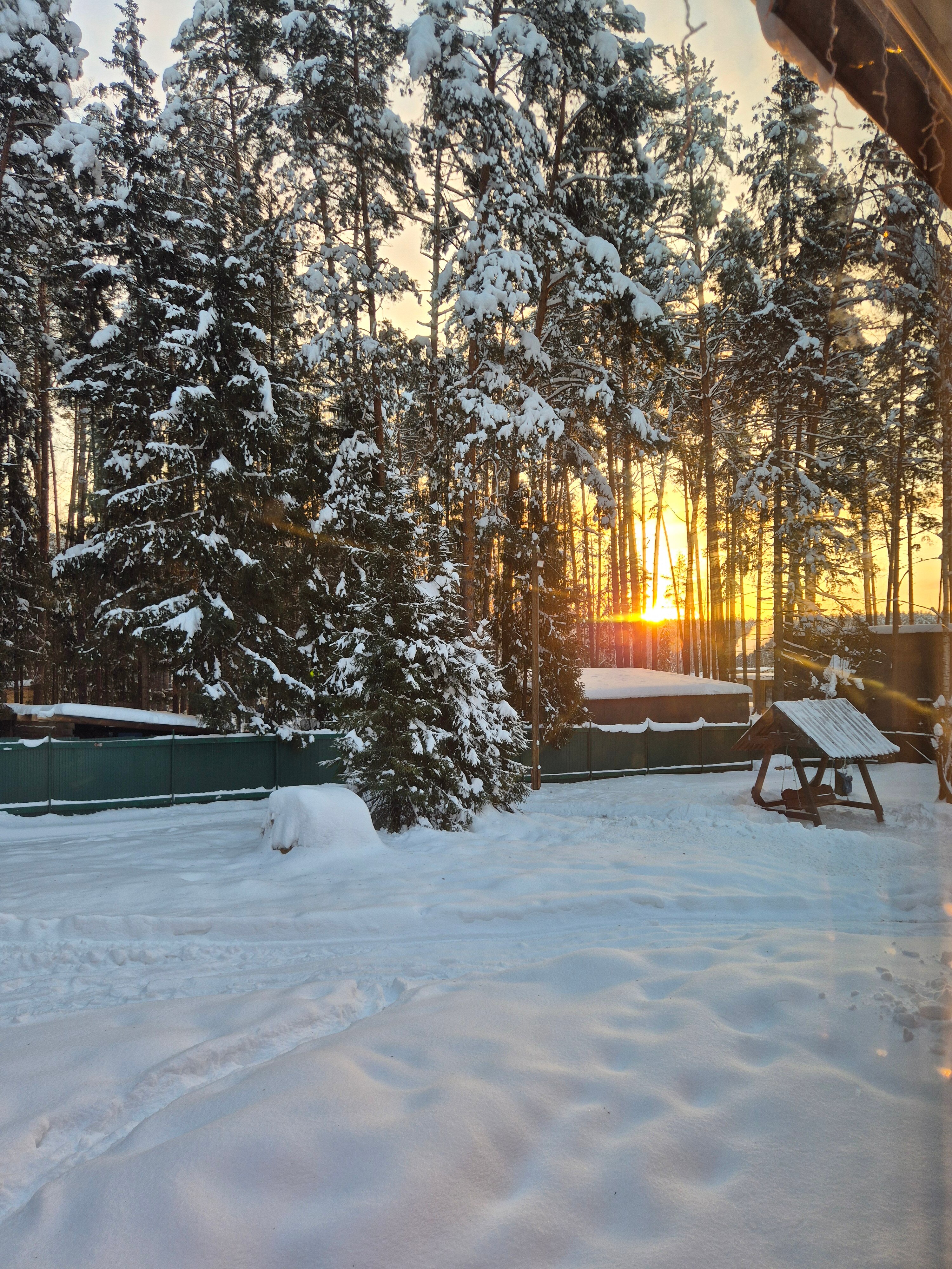 Фото Усадьба Волжское лесничество