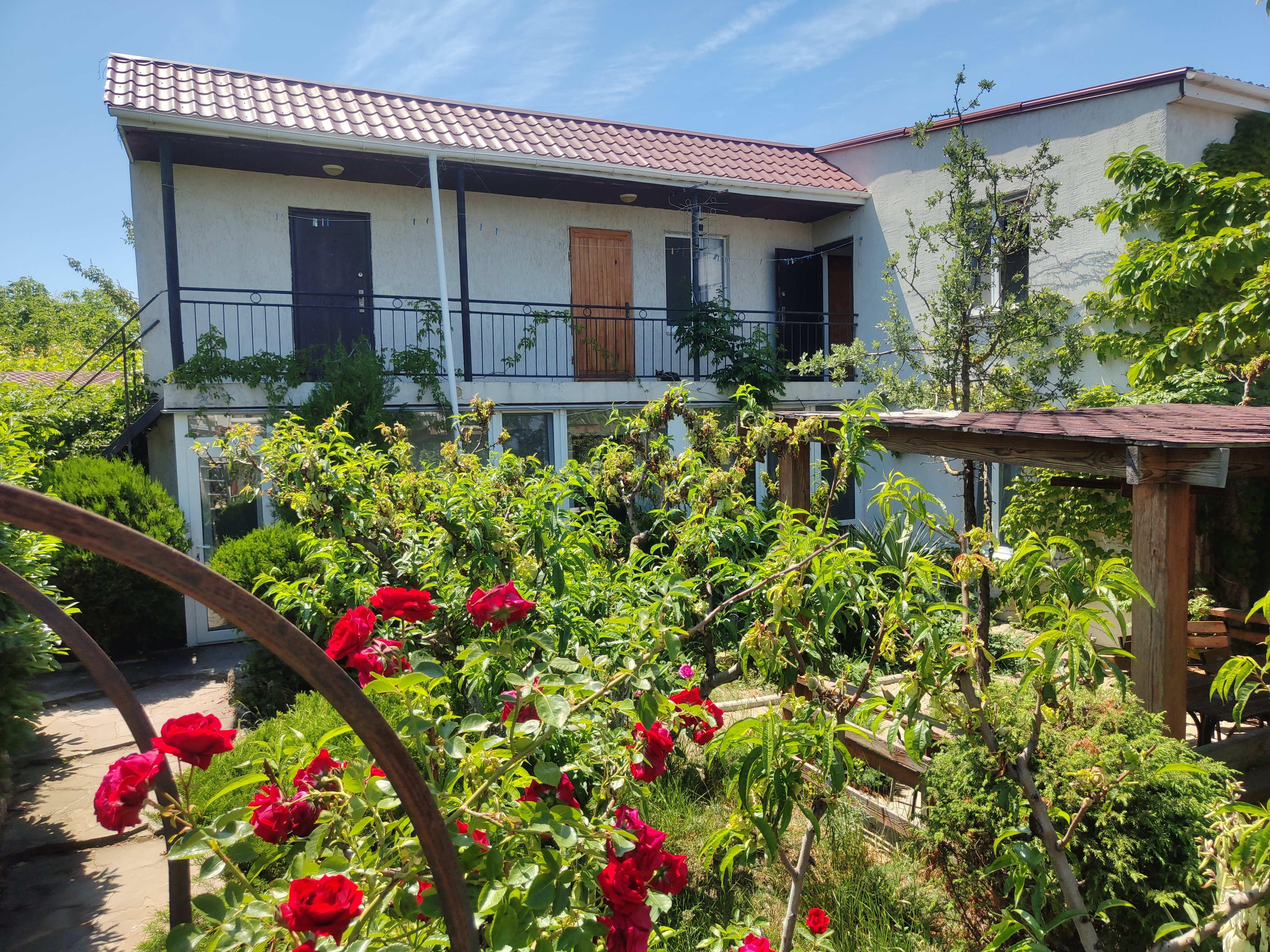 Фото Фиолентовский