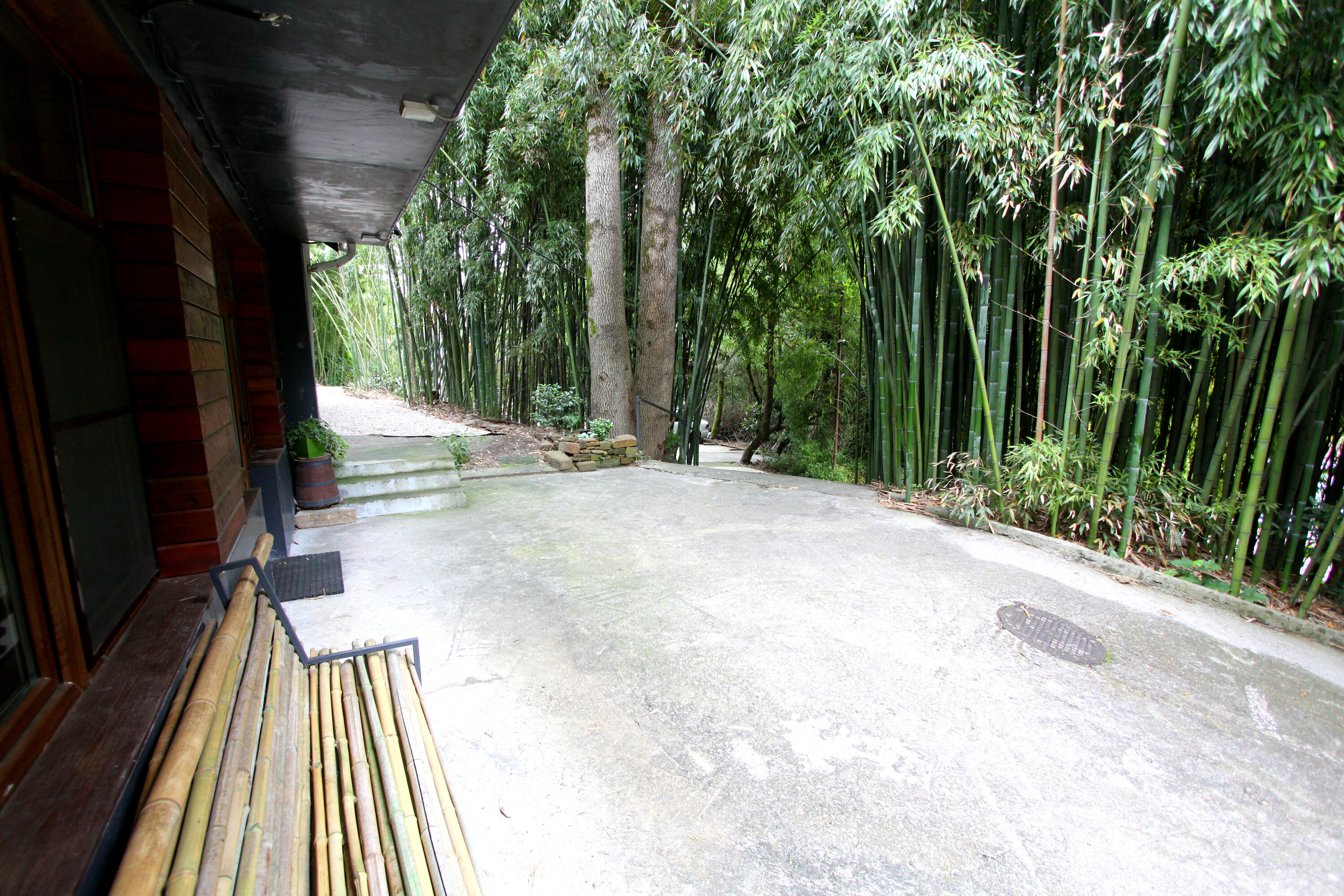 Фото Бамбуковая Роща