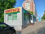 Azaliya set tsvetochnykh salonov - filial (Sibirskaya Street, 111/1) ، متجر زهور