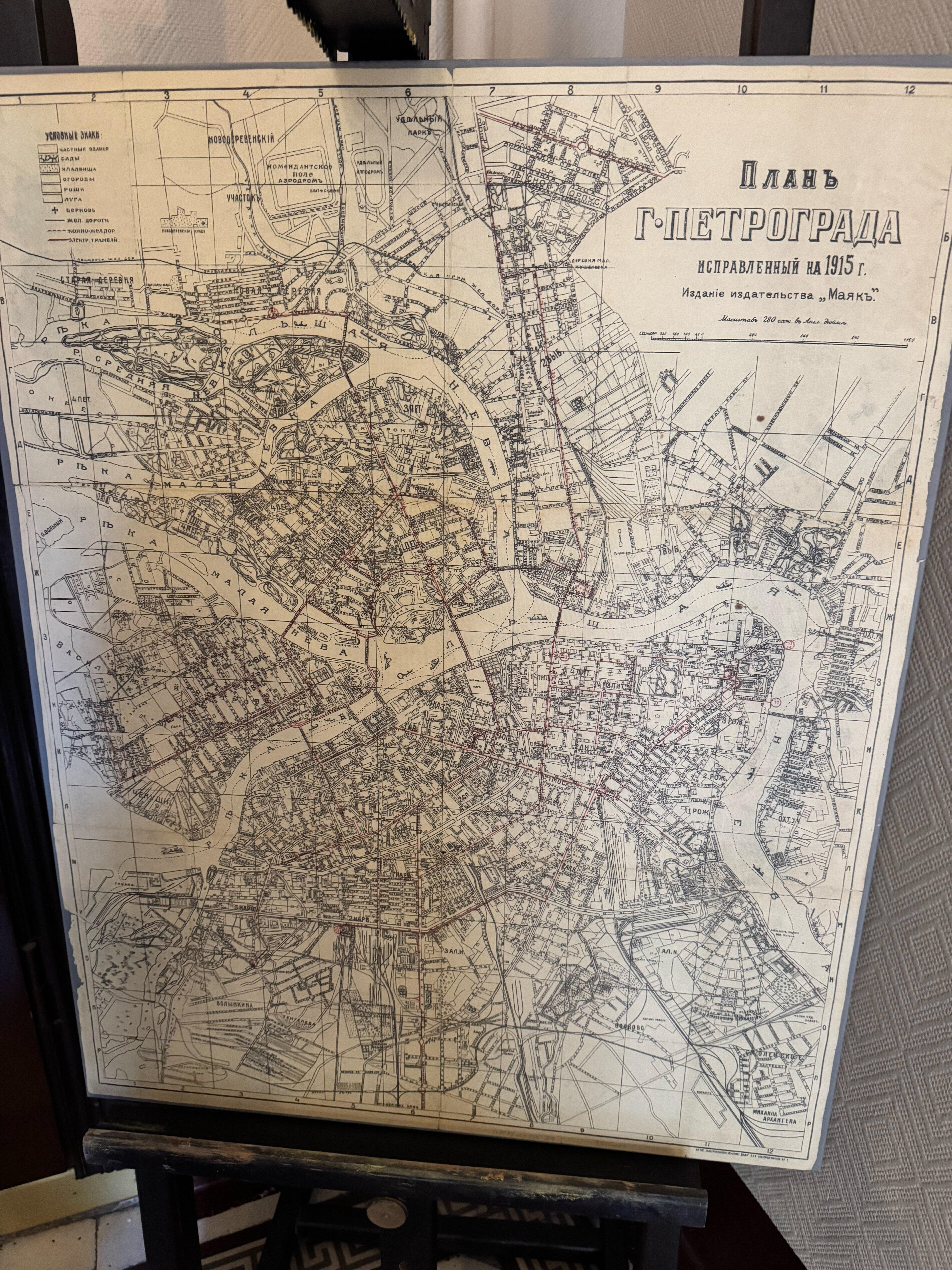 Фото Шелфорт