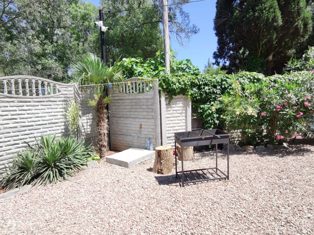 Фото Феерия