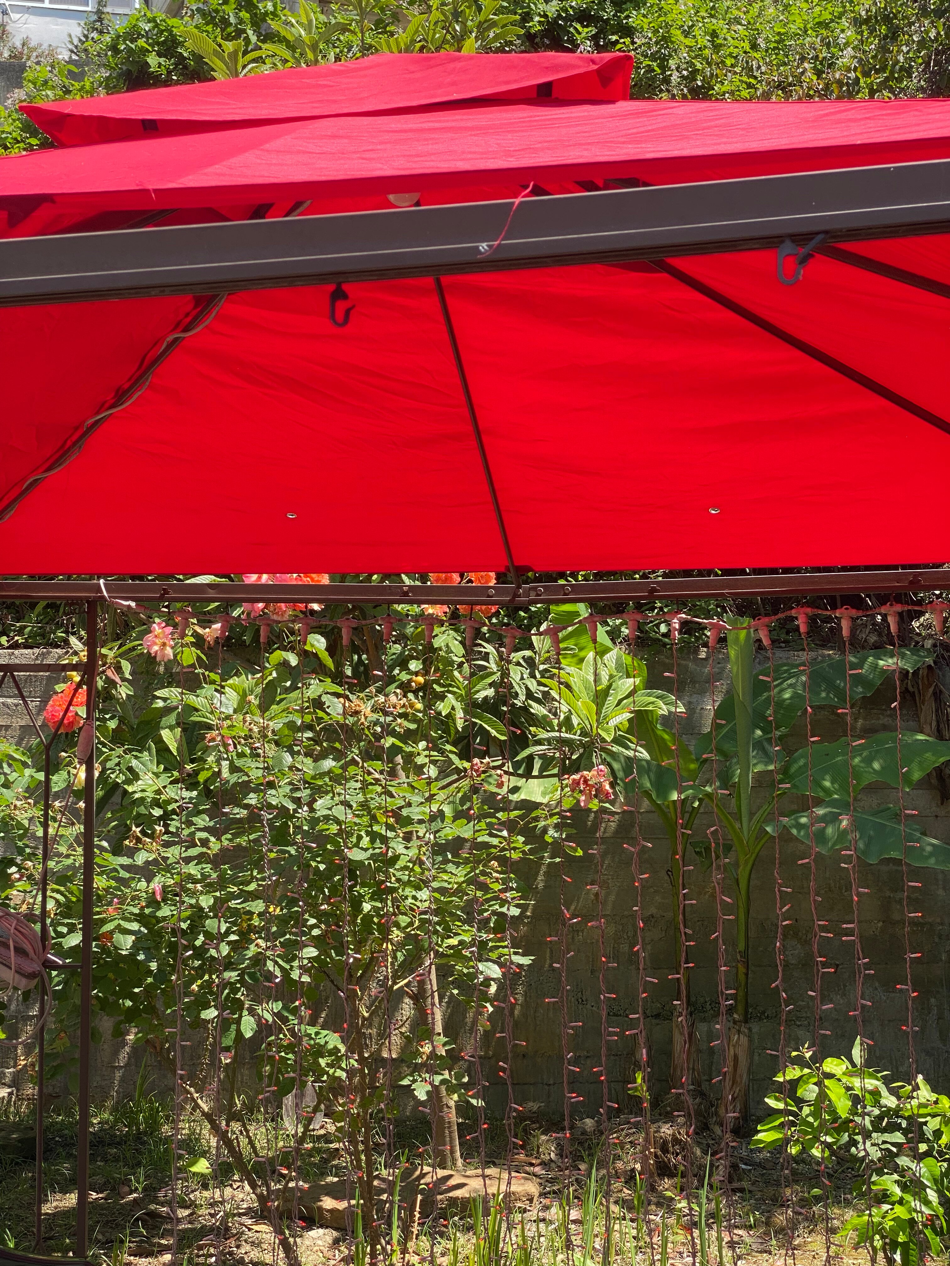 Фото Гостевой Дом на Яблочной