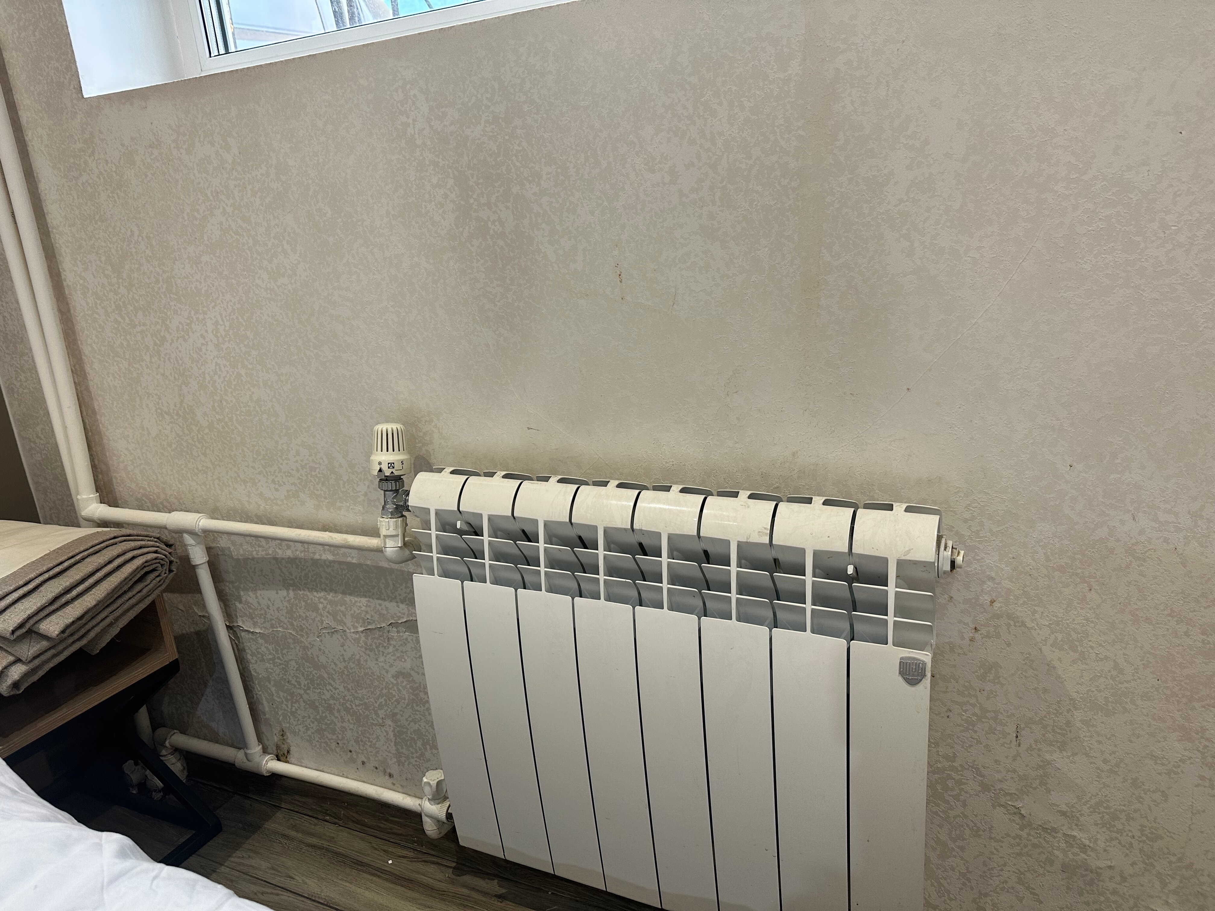 Фото Айлендер