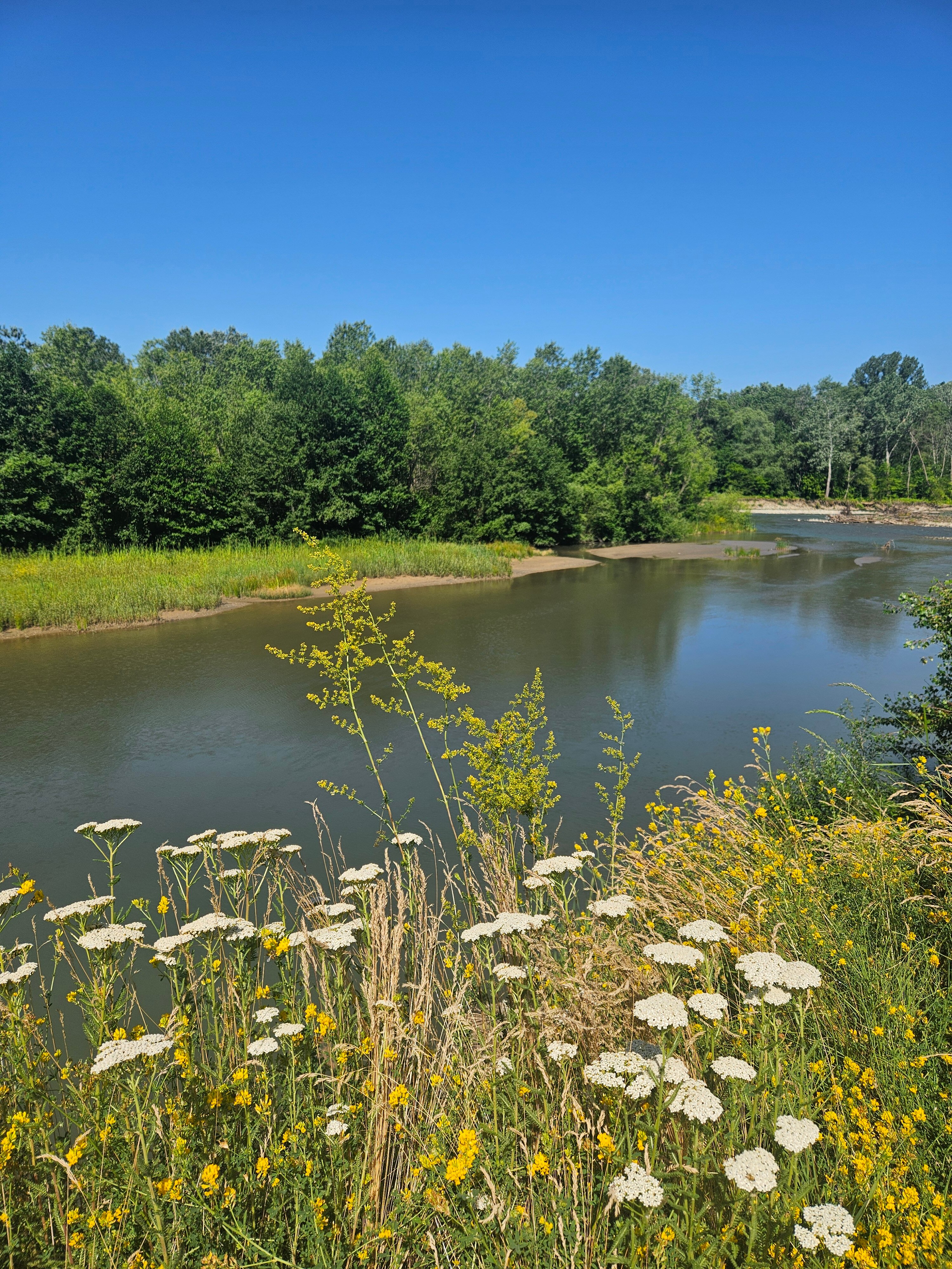 Фото Лукоморье