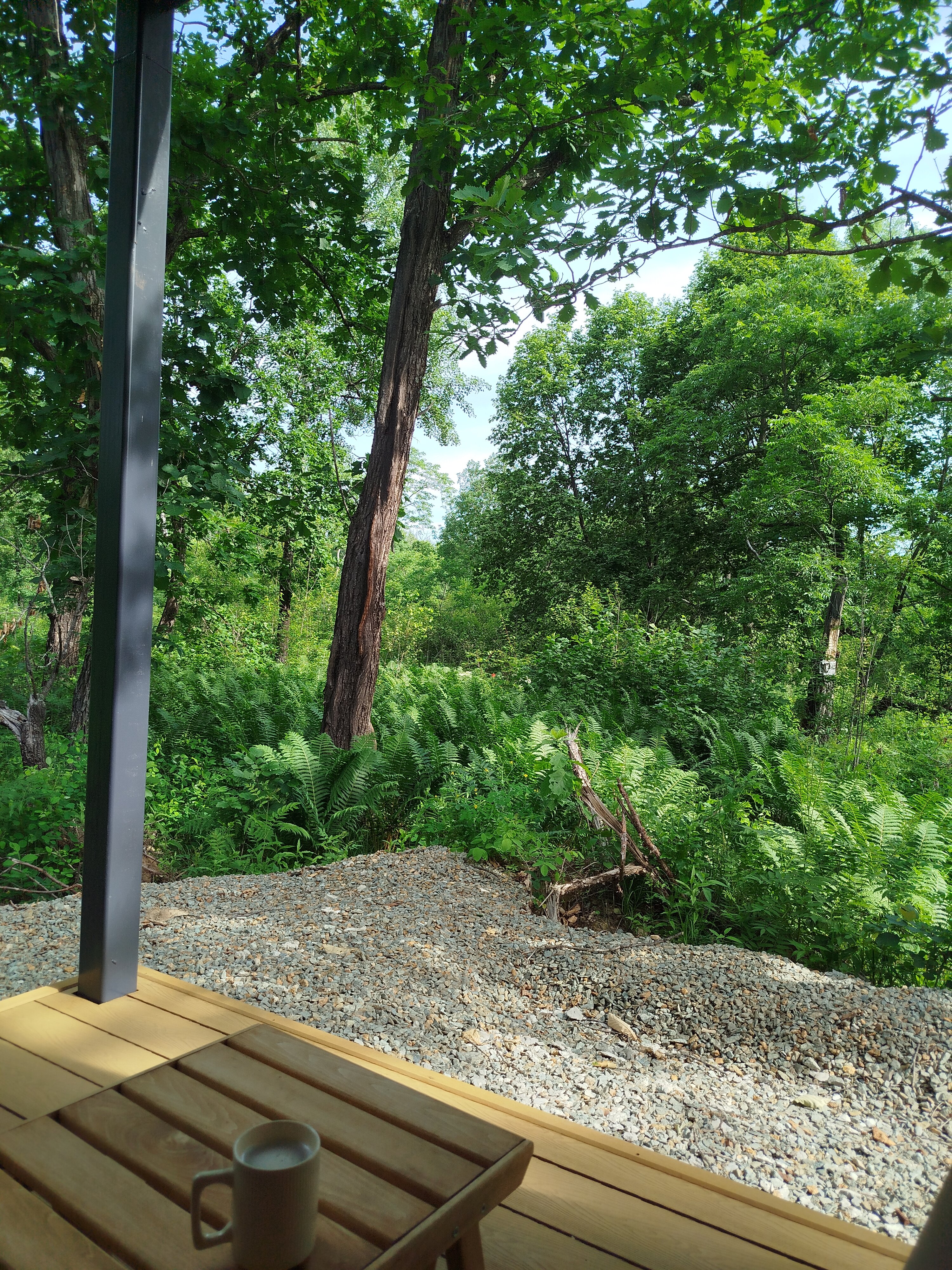 Фото Деревня Романовых