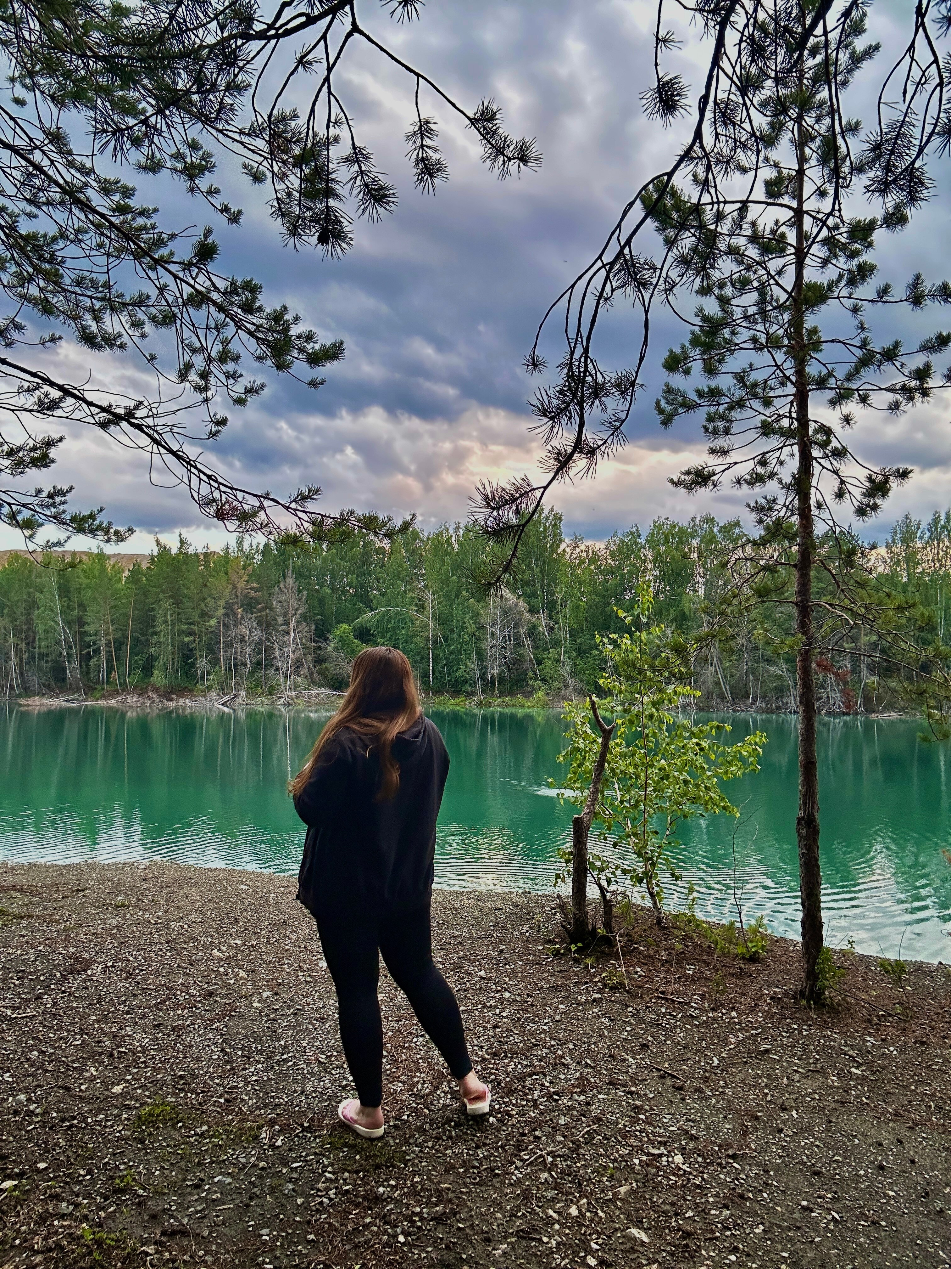 Фото Forest tale