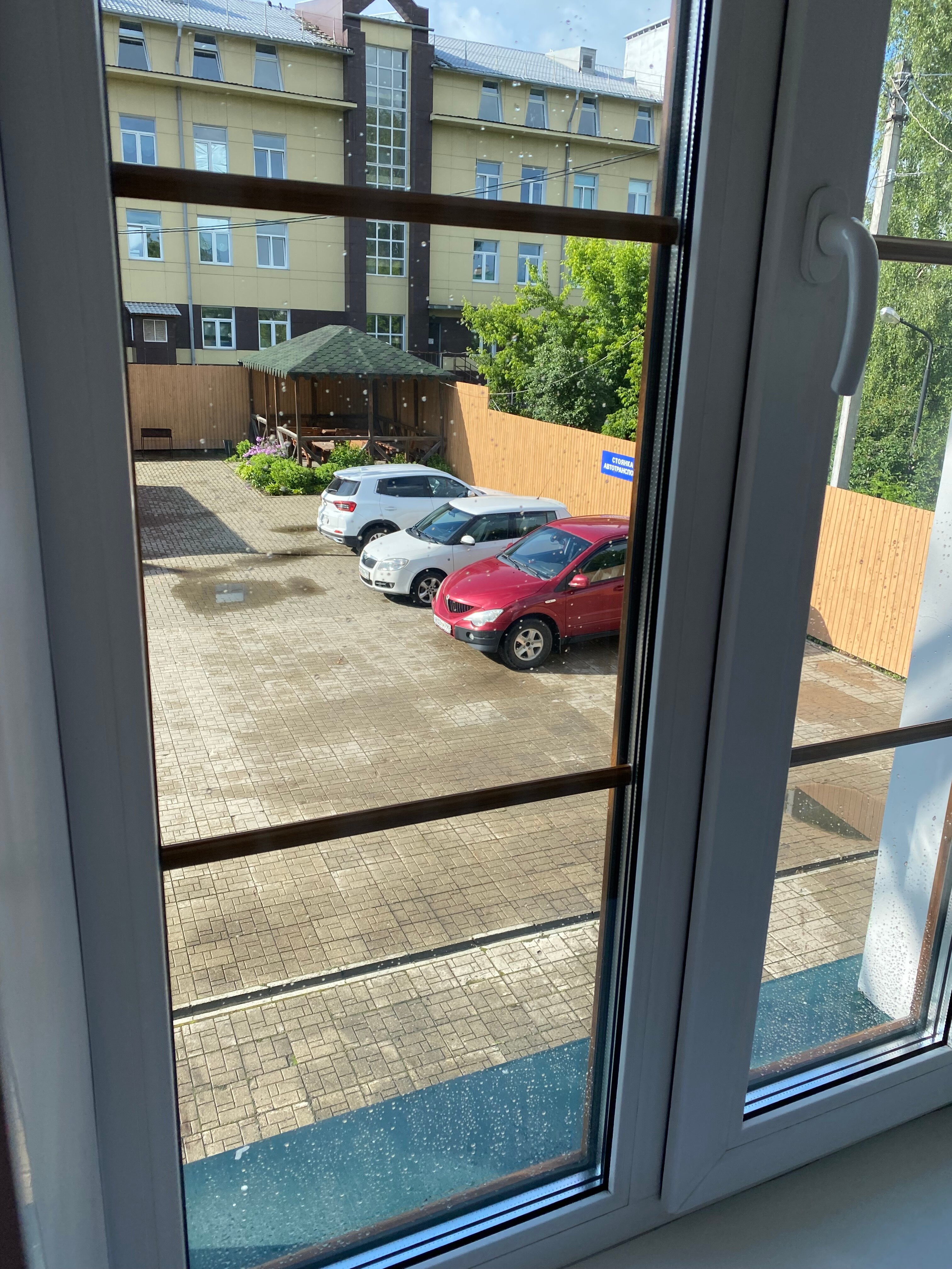 Фото Царевна-лягушка