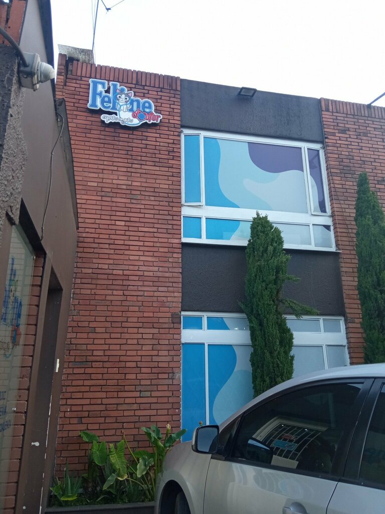 Veterinary clinic Feline Doctor, Bogota, photo