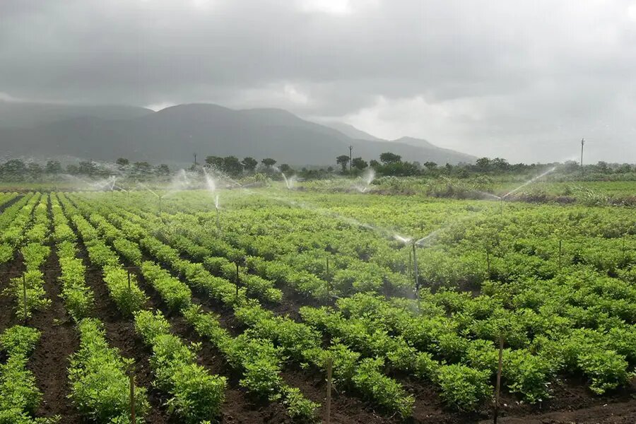 Energy company Bilimsel Mühendislik Enerji Ltd, Manisa, photo