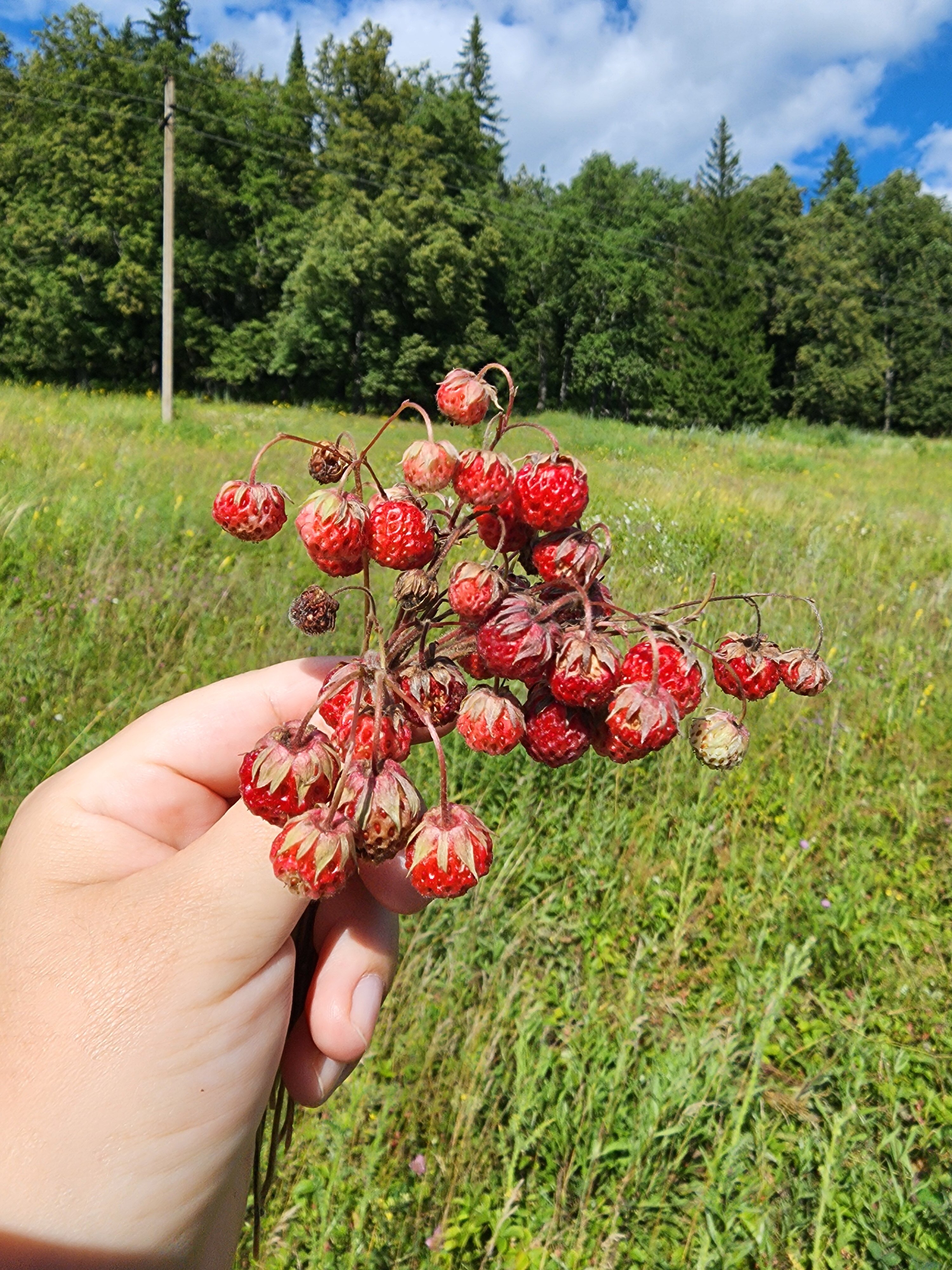Фото Красный Ключ