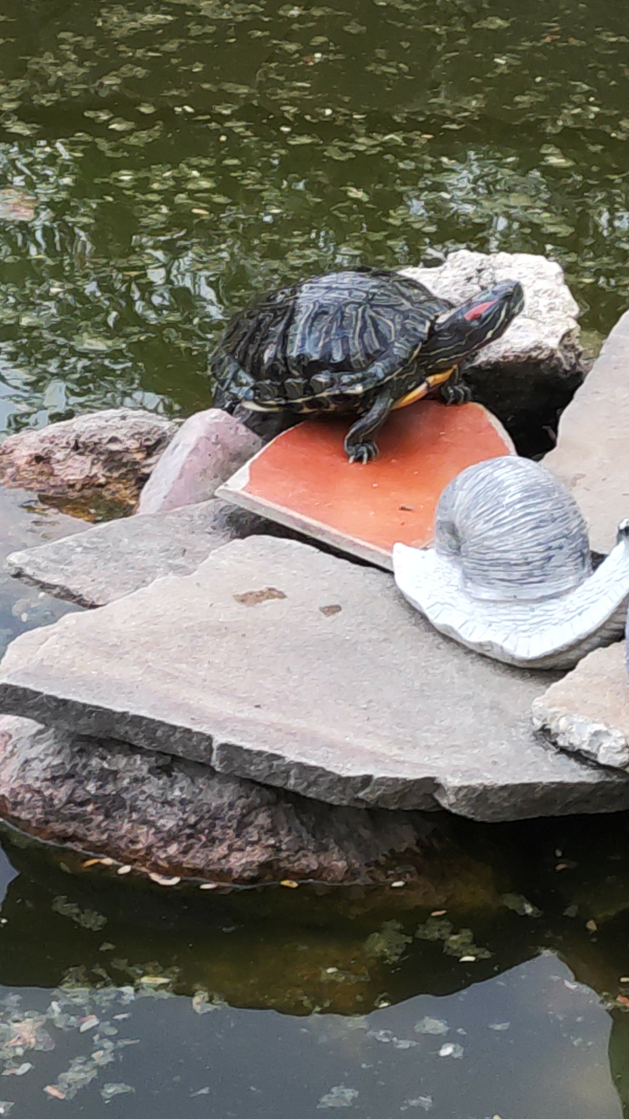 Фото Бирюзовая бухта