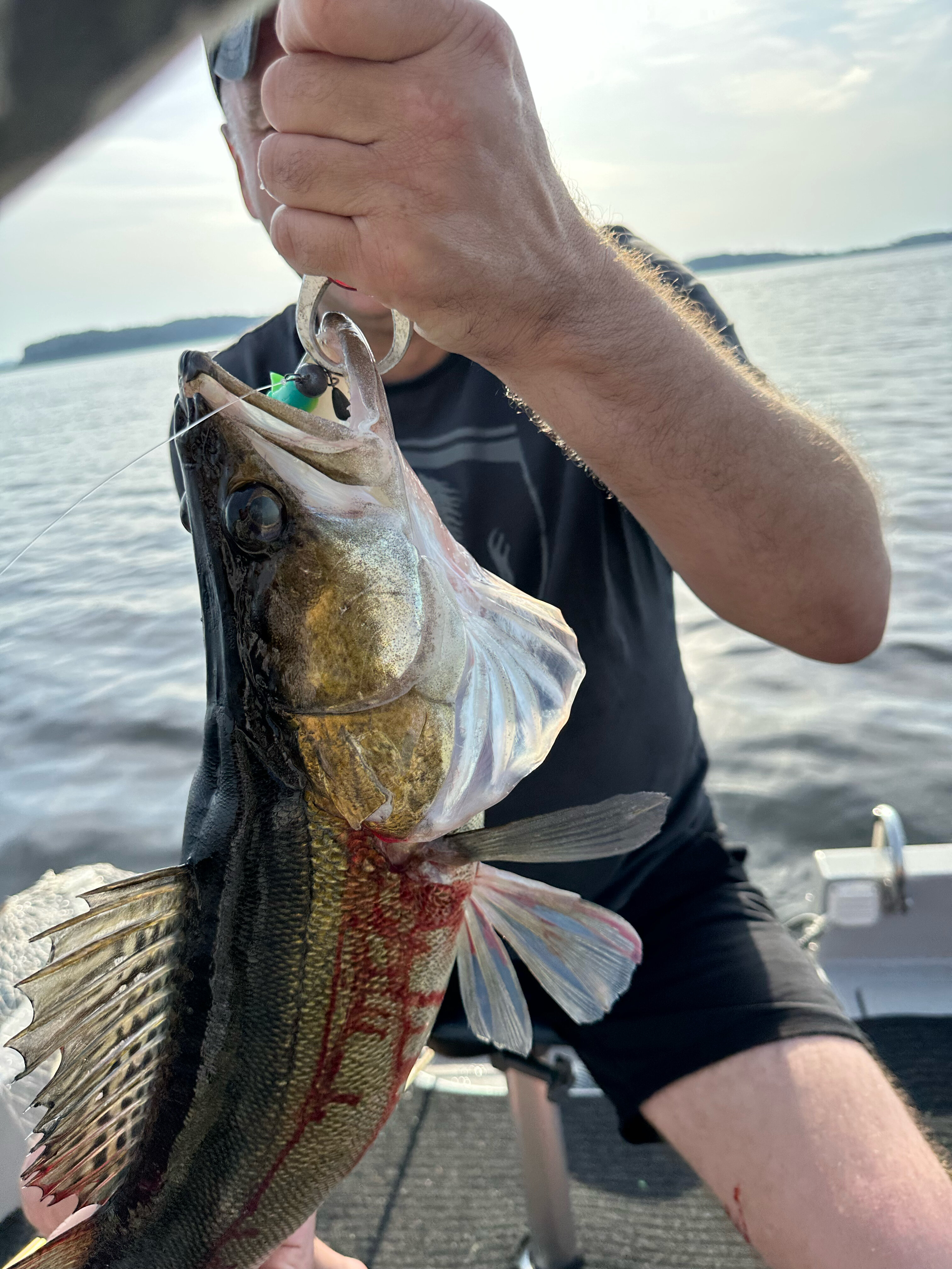 Фото Дом отдыха