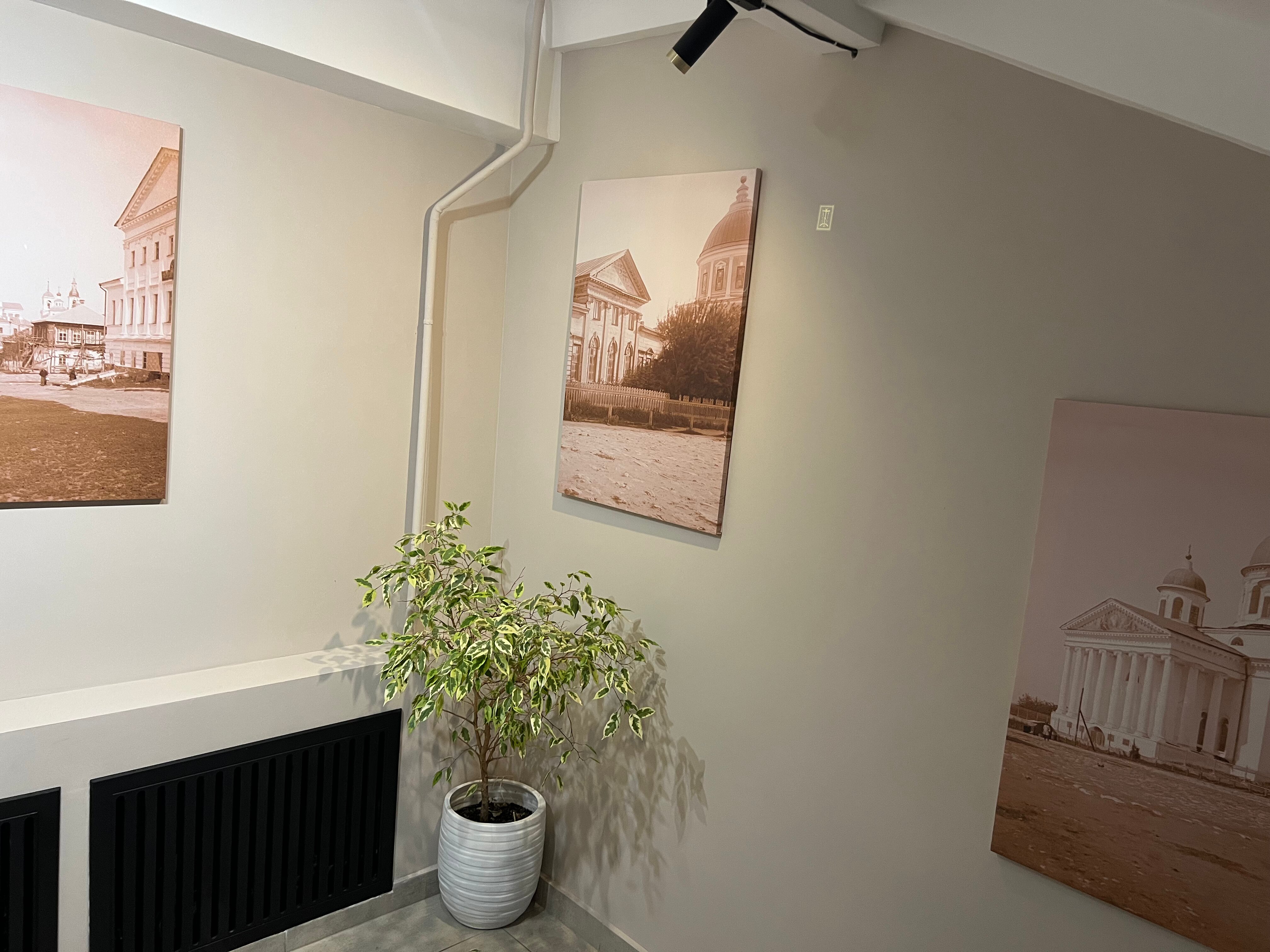 Фото Сальников