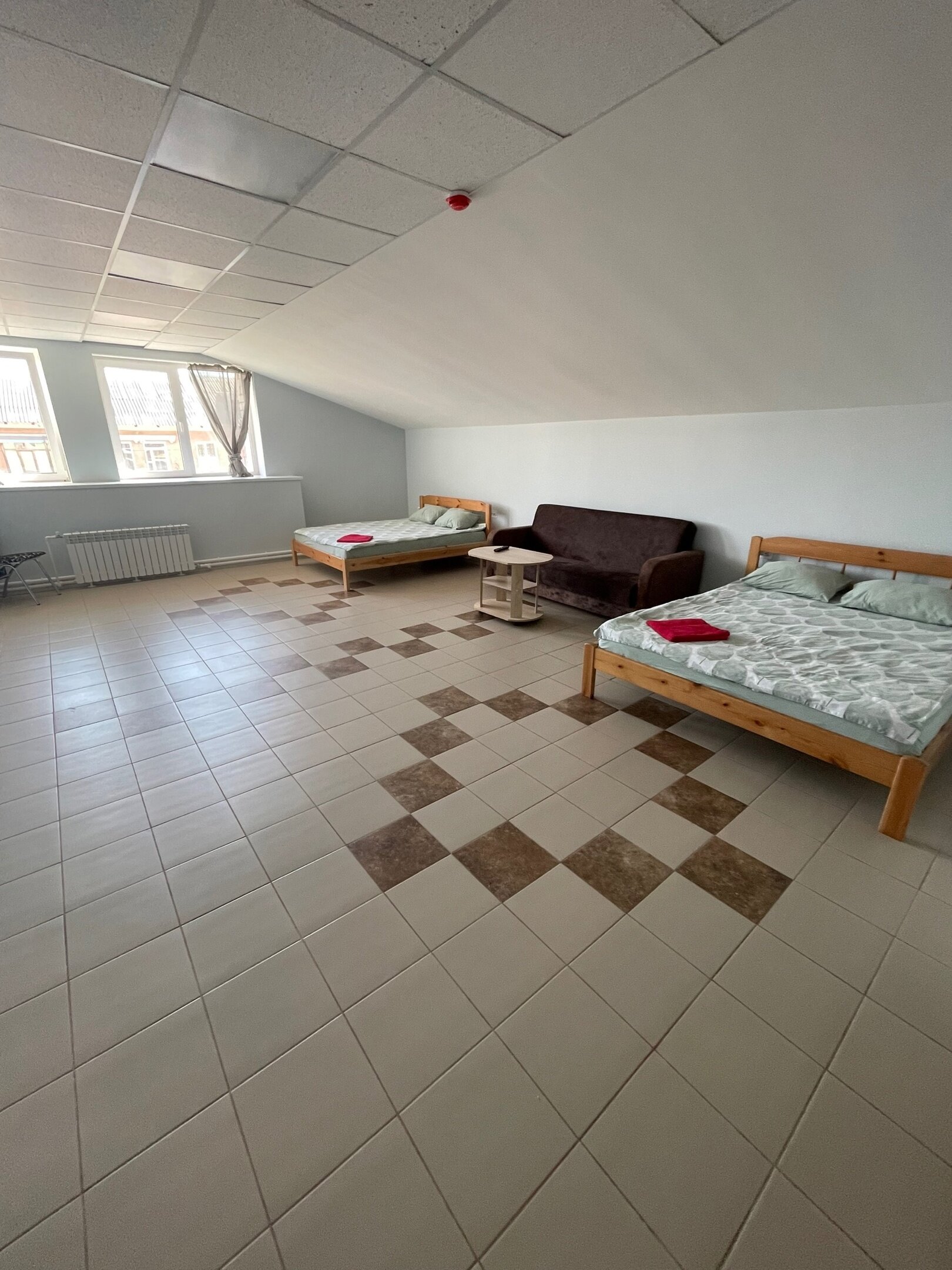 Фото Два Льва