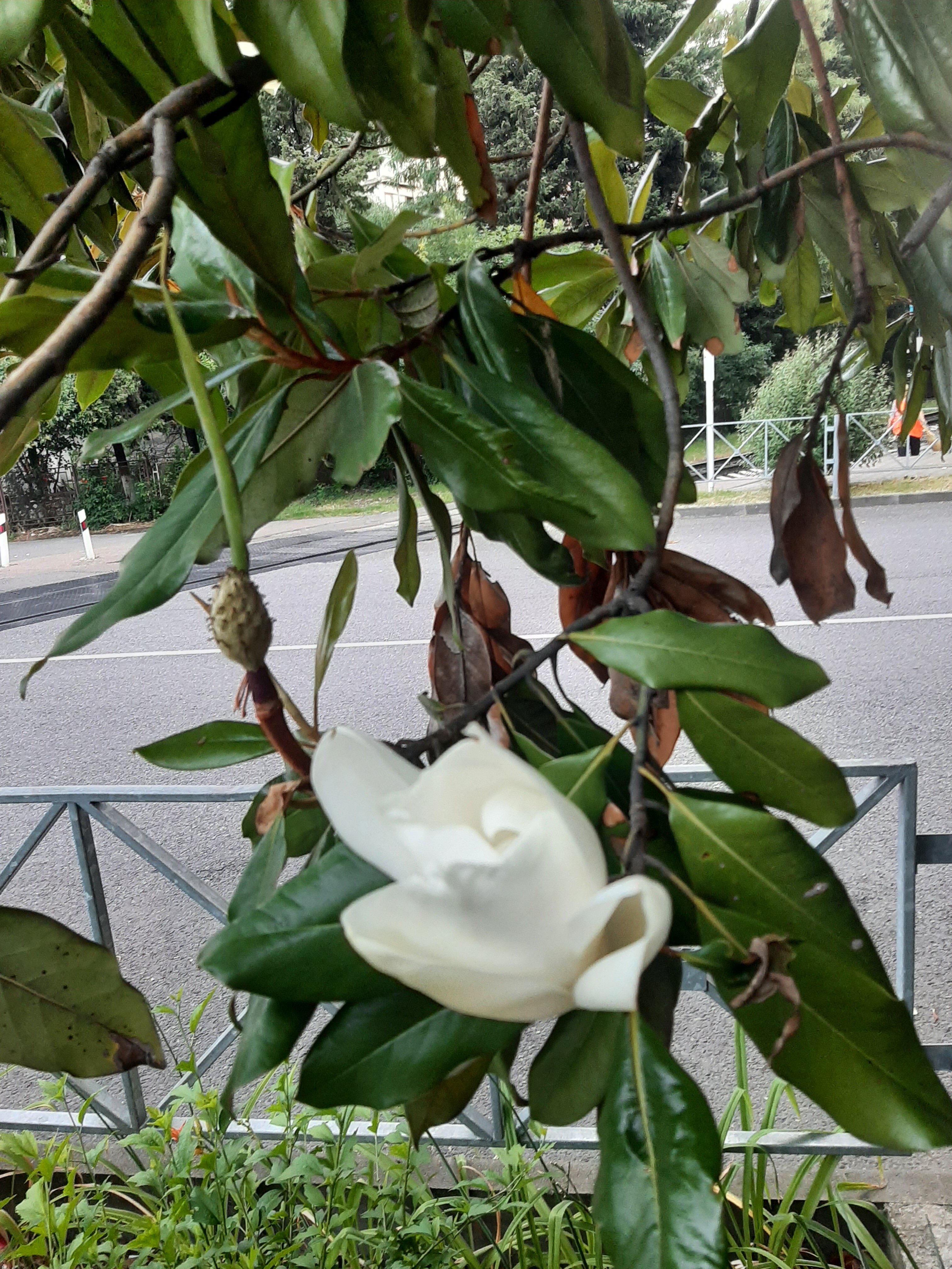 Фото Family Club Delmar