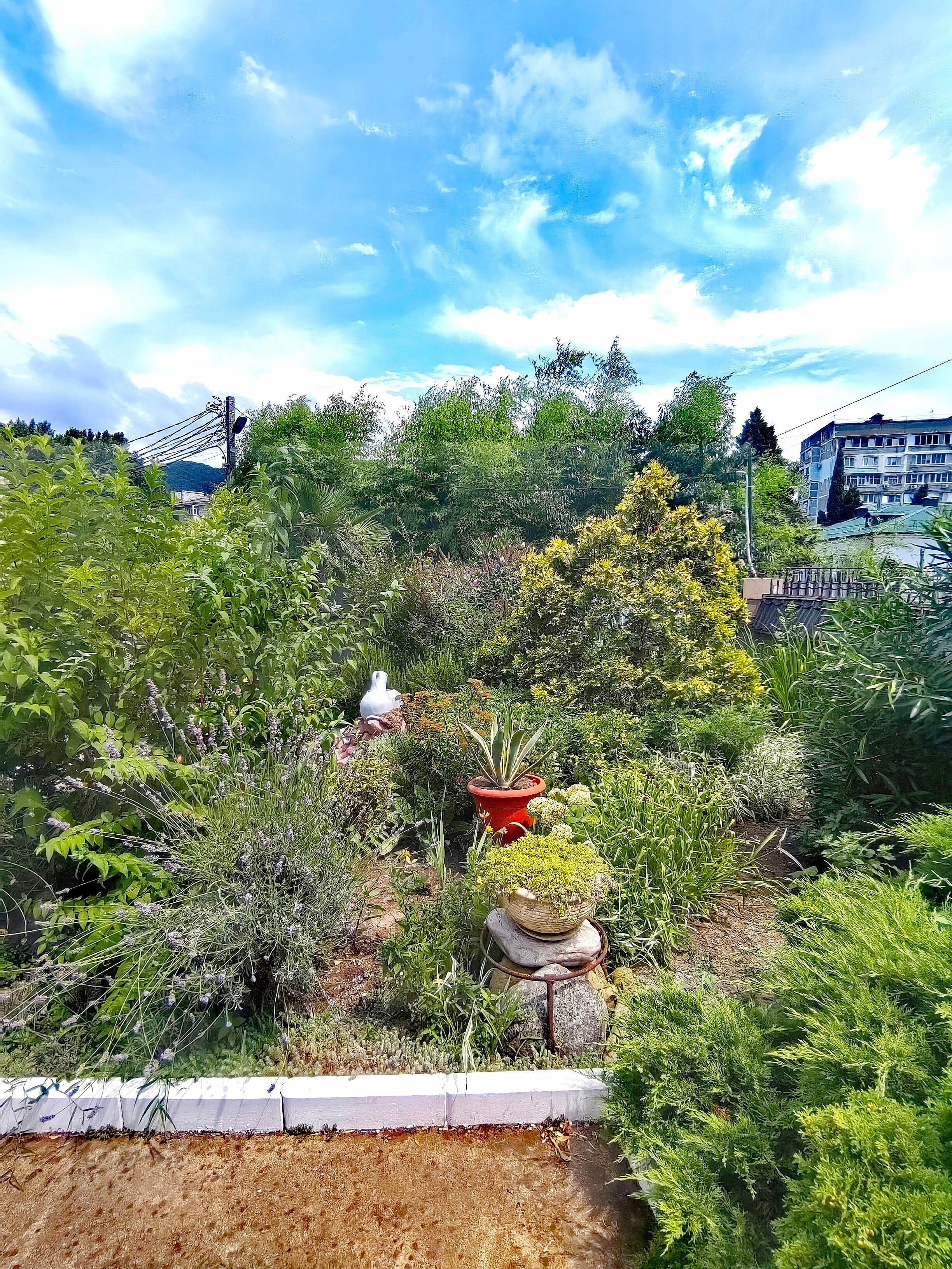 Фото Уютный Дворик