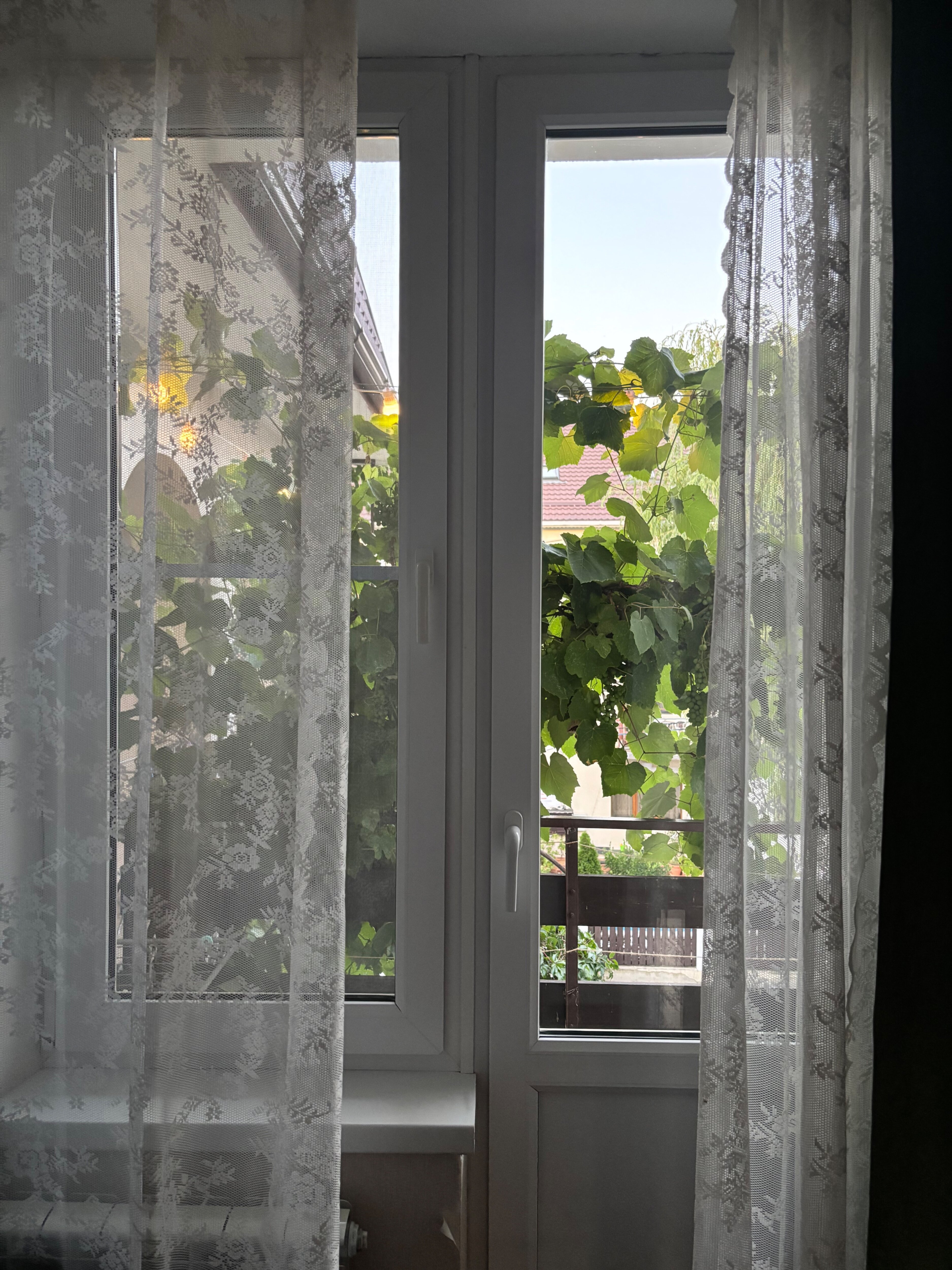 Фото Аннушка