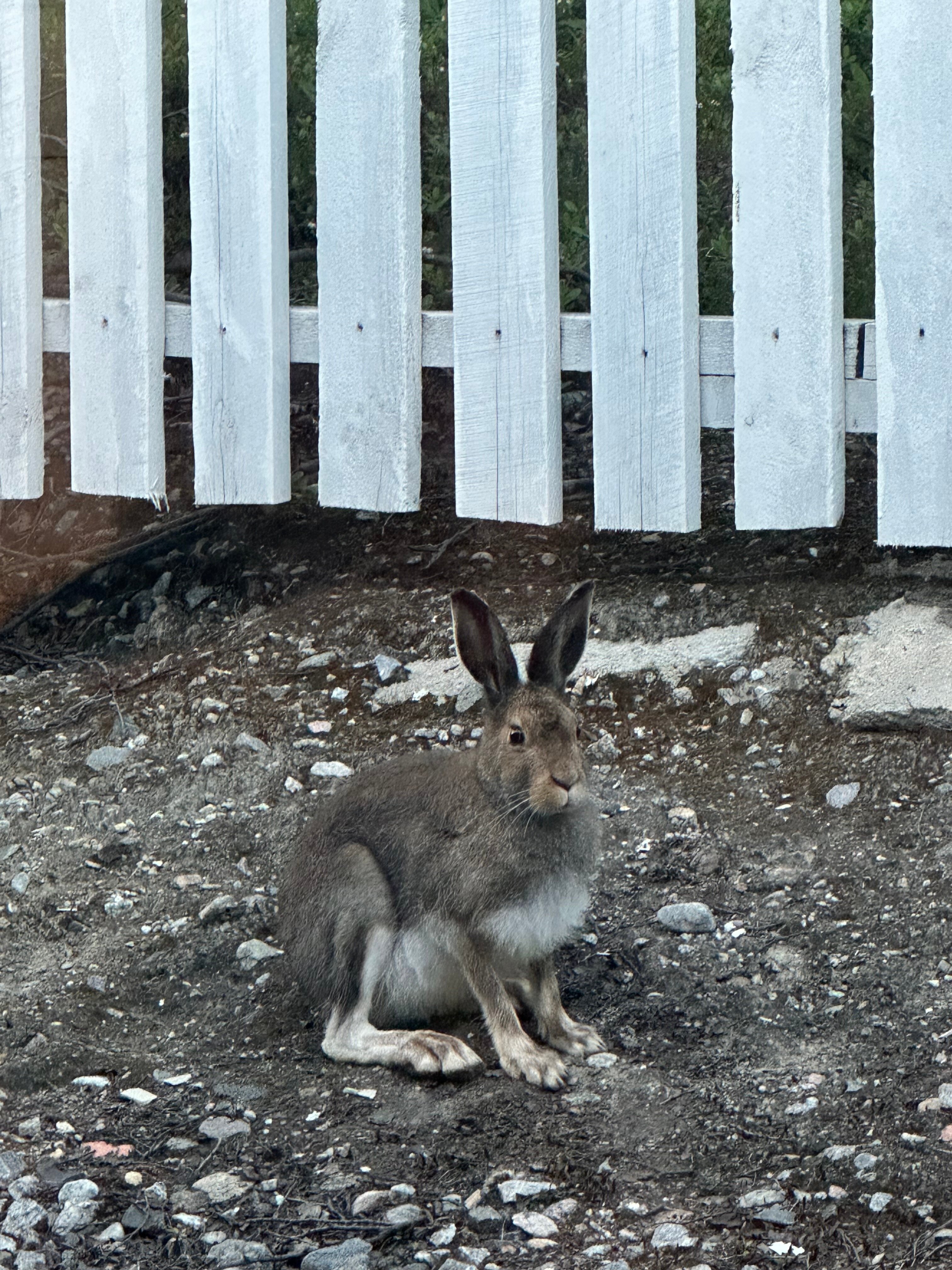 Фото Баренц