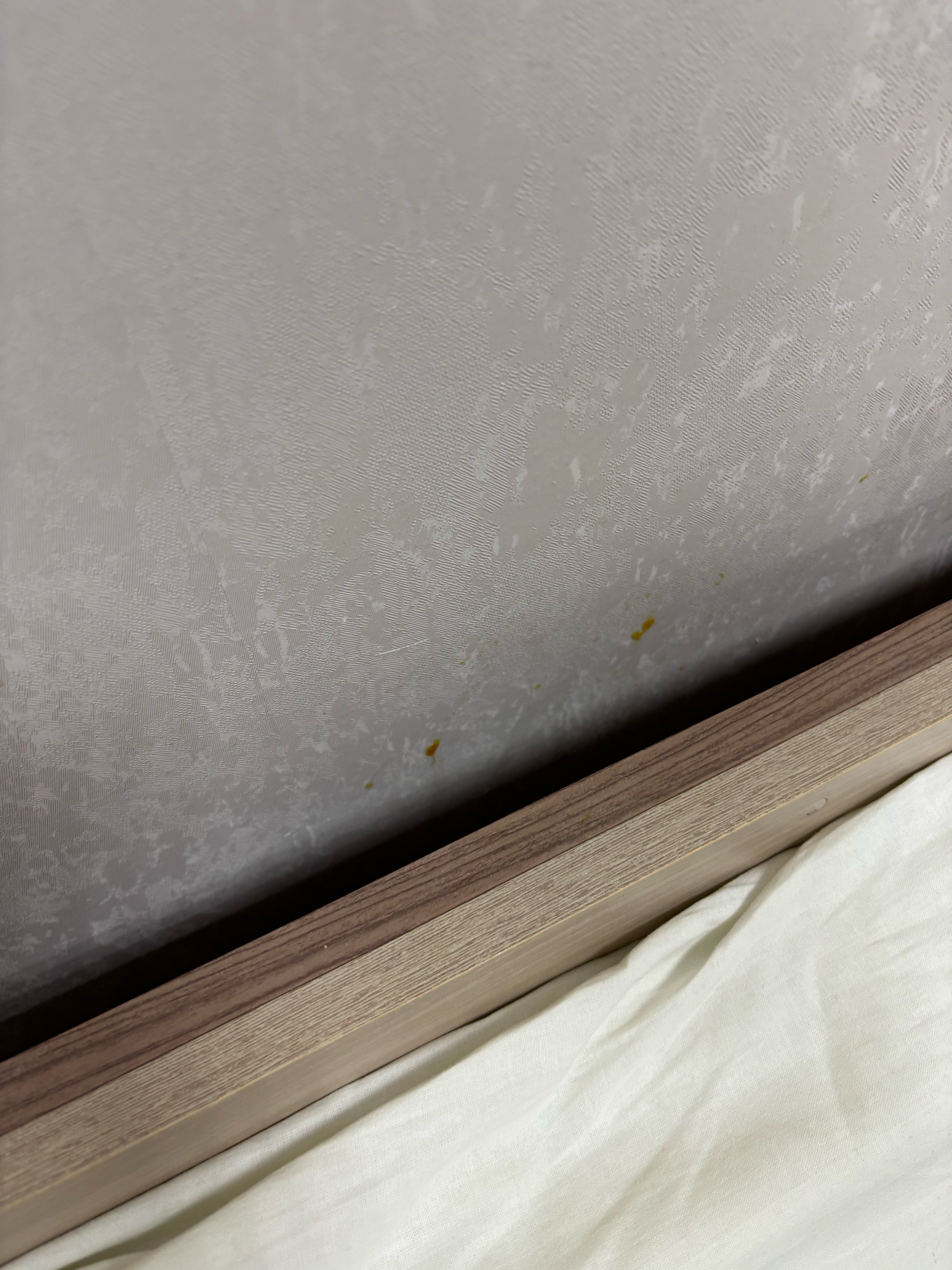 Фото Каменский Hotel